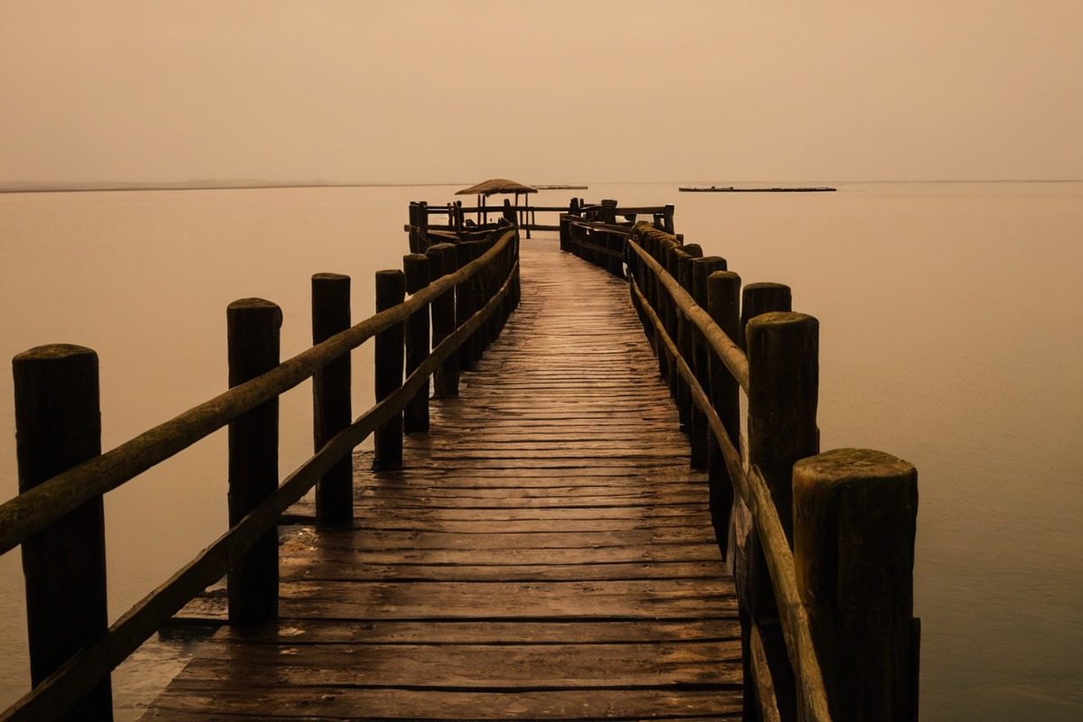 fog, landscape, mist, morning, water