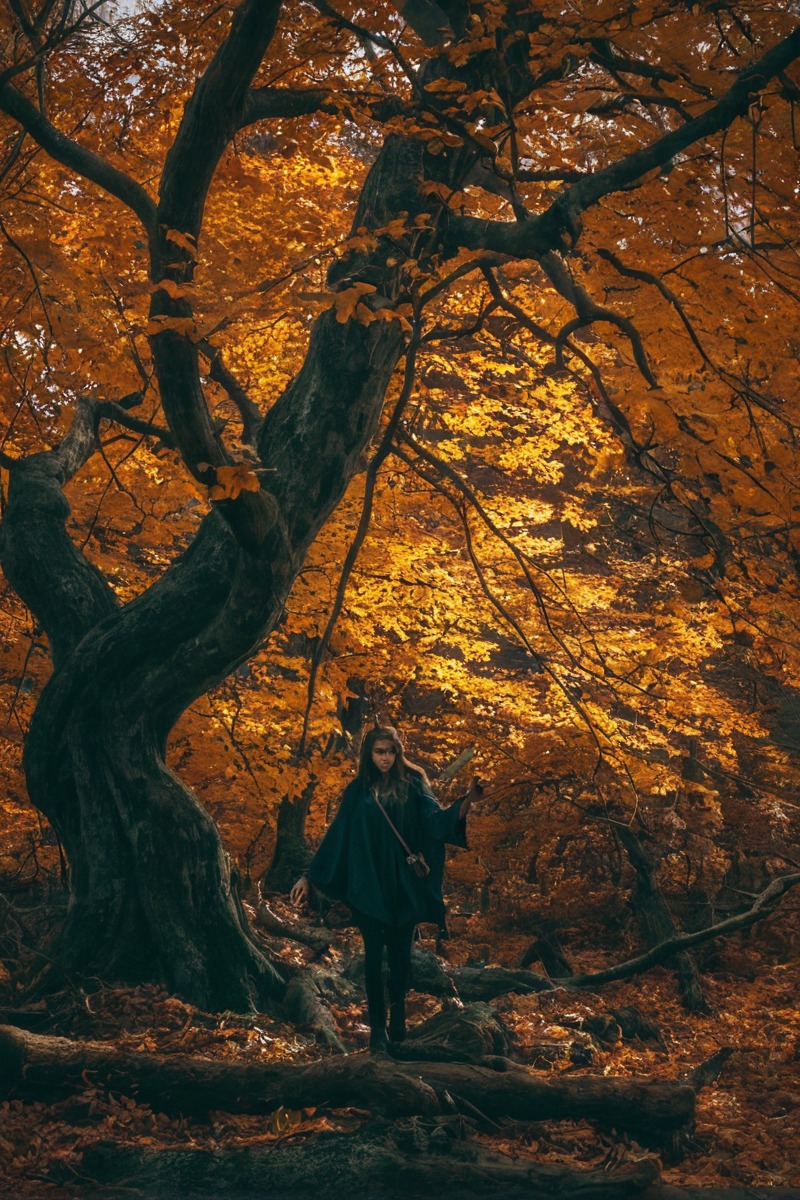 autumn, model, modeling, modelling, modelphotography, models, outdoor, photographer, photography, portrait, portraitbeauty, portraitgirl, portraitphotography, portraits, portraiture, portraitwoman, woman, womanbeautiful, womanfemale, womangirl, womanlady, womanportrait, womanwomen, modelfemale, photooftheday, modelmodeling