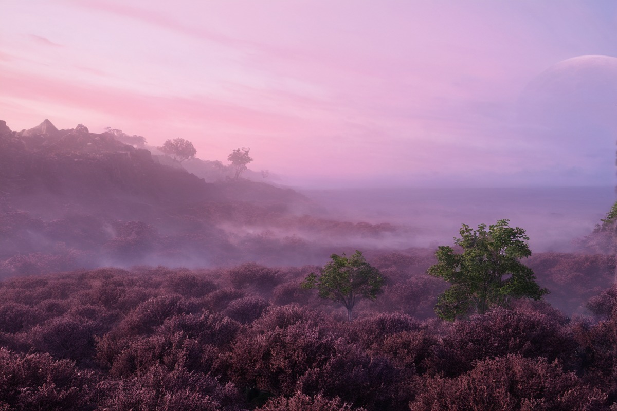 dawn, fog, foggy, haze, hazy, heather, mist, misty, moody, morning, nature, photo, picture, sky, trees, atmosphere, atmospheric, clouds, landscape, landscapephotography, landscapescenery, naturelandscape, naturephotography, peaceful, photograph, photography, purple, sunrise, treescape, moodyphotography