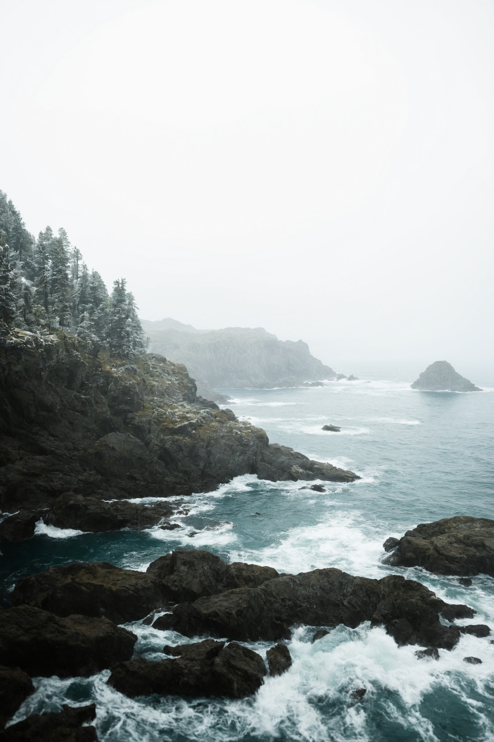 landscape, forest, nature, beauty, artists on tumblr, photography, aesthetic, washington, pnw, westcoastbestcoast, art, pacific northwest, explore, travel, cottagecore, naturecore, grandmacore, p