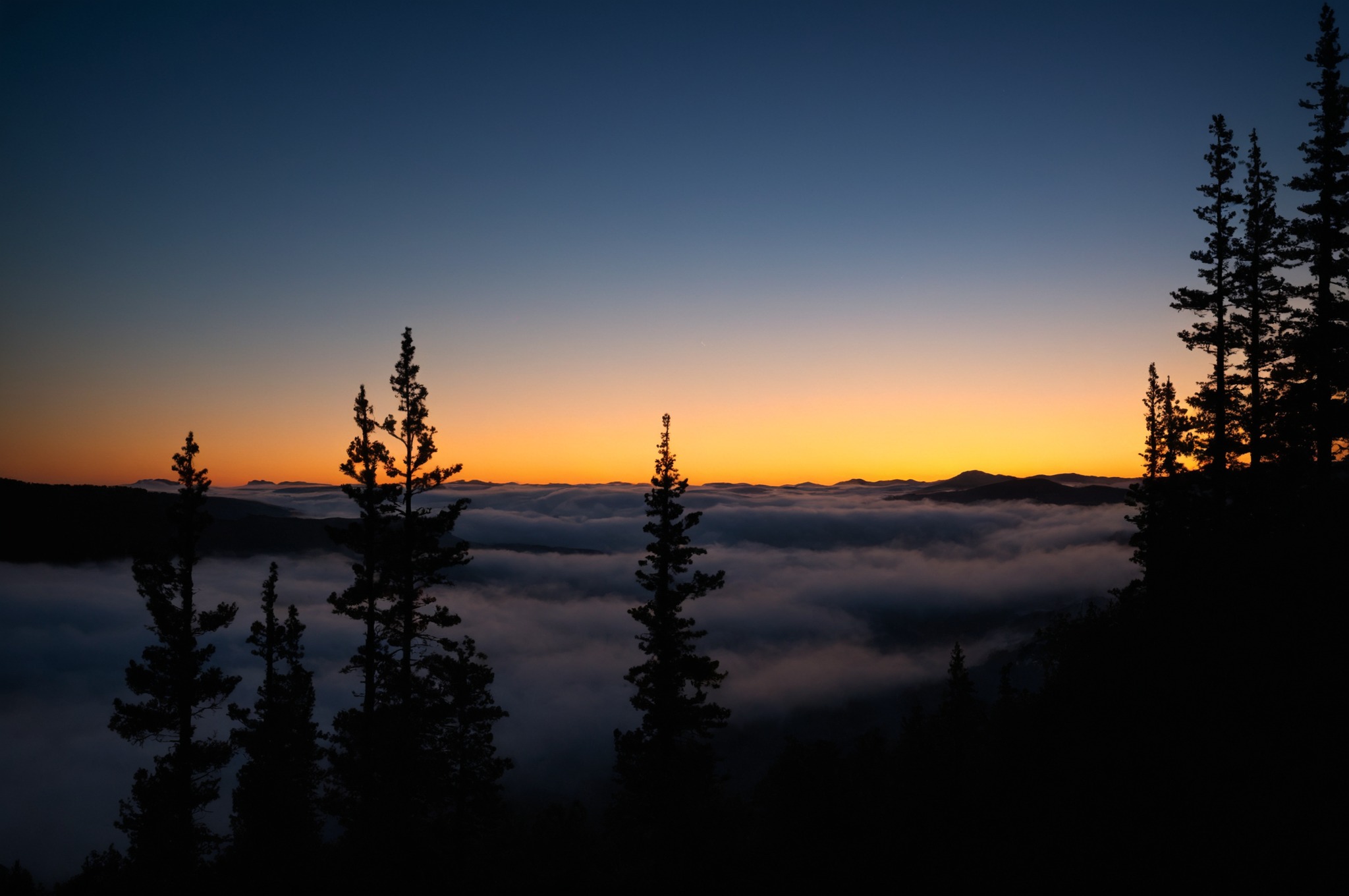 artists on tumblr, hiking, pacific northwest, nature, washington, pnw, nikon, orofeaiel, clouds, sunrise, above, landscape, moody, trees, east