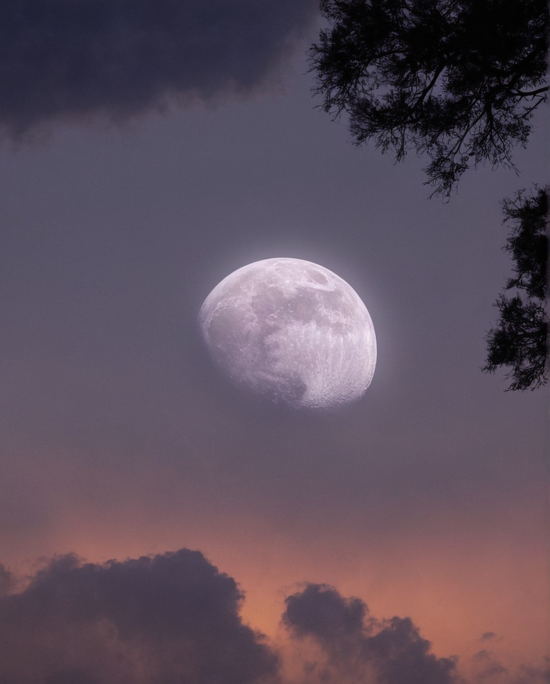 moonlight, full moon, landsccape, moon, sky, clouds, stars, nightsky, lake, sundown, sunrise, landscape, photography, adventure, explore, travel, travelling, nature, paradise, indie, hipster, vintage, retro, aesthetic, pale, sunset, artwork, beauty, dark acadamia aesthetic, fall aesthetic