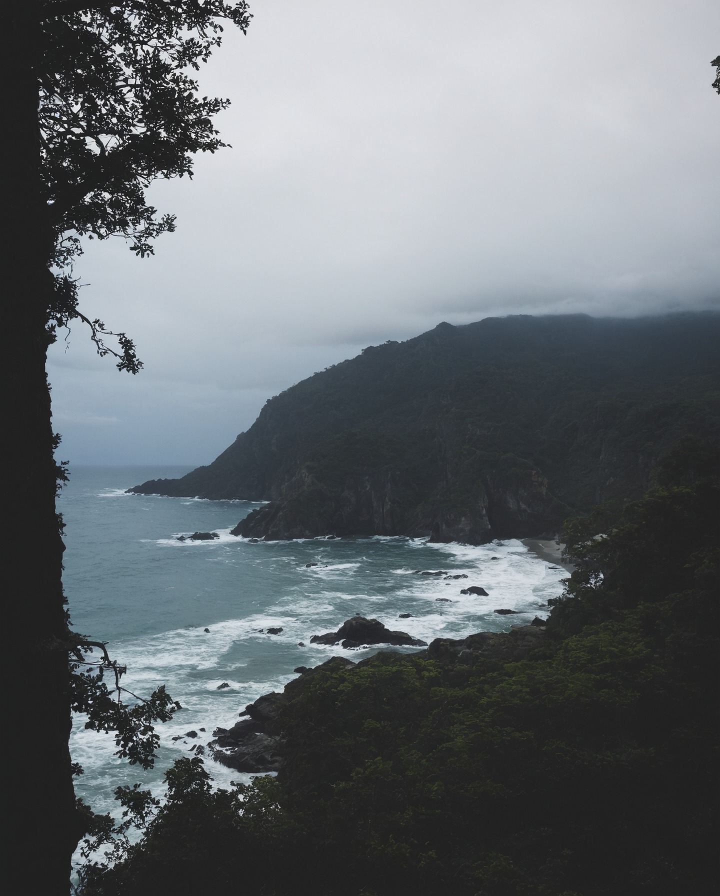 ecola state park, oregon, storm, ocean, moody, pnw, moody nature, rainy day