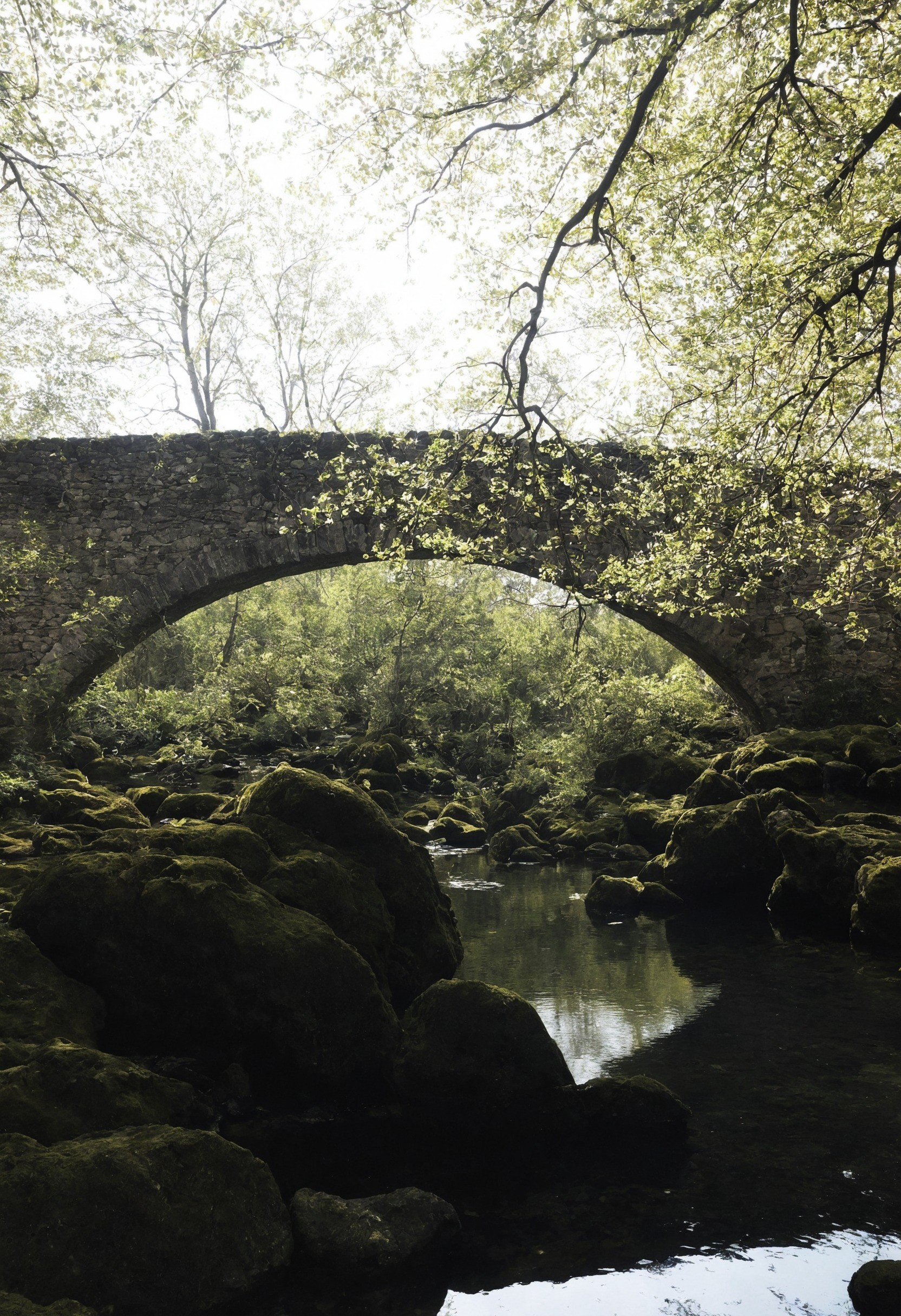 nature, landscape, lensblr, original photographers, photographers on tumblr, canon, scotland, photography, travel, vertical, wilderness