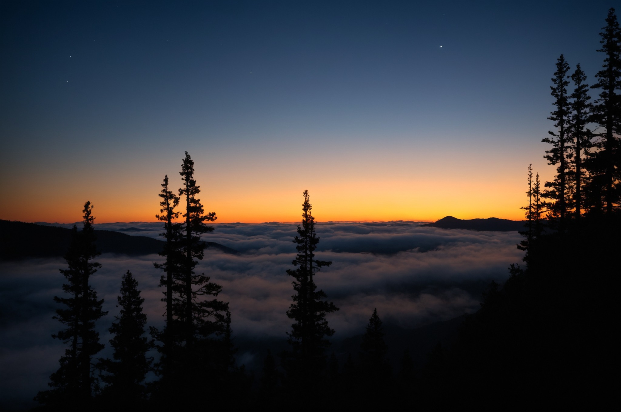 artists on tumblr, hiking, pacific northwest, nature, washington, pnw, nikon, orofeaiel, clouds, sunrise, above, landscape, moody, trees, east