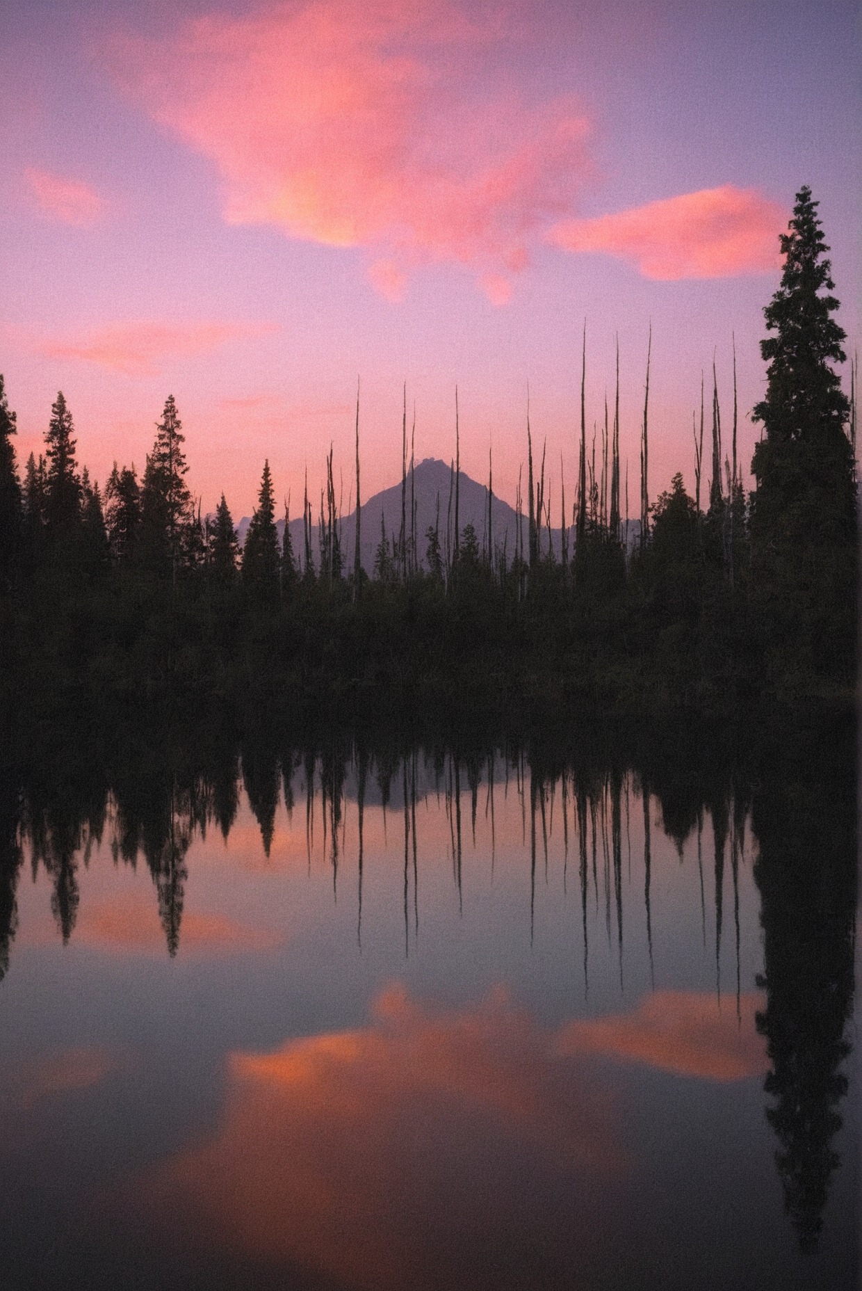 mt hood, oregon, nature photography, film photography, 35mm, filmisnotdead, mountains, lake, trees, sunset, pastel, naturecore, lensblr