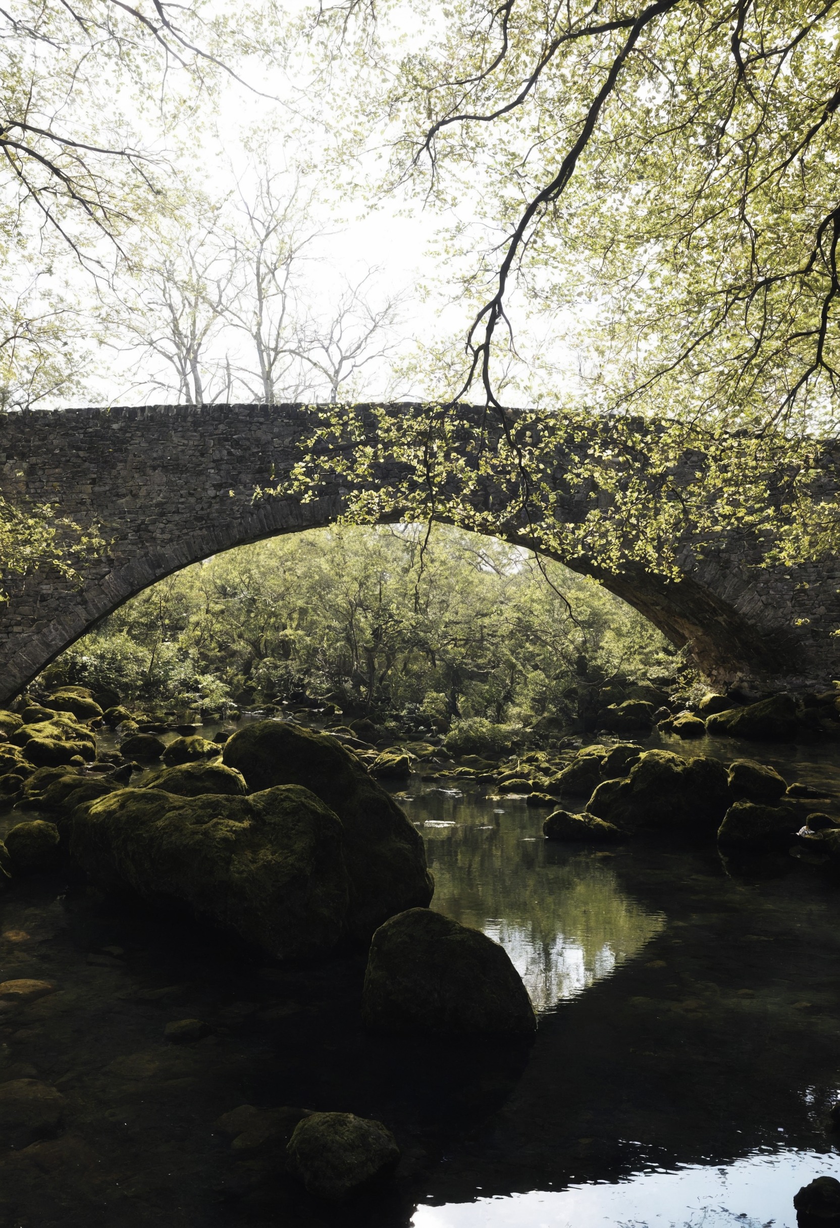 nature, landscape, lensblr, original photographers, photographers on tumblr, canon, scotland, photography, travel, vertical, wilderness