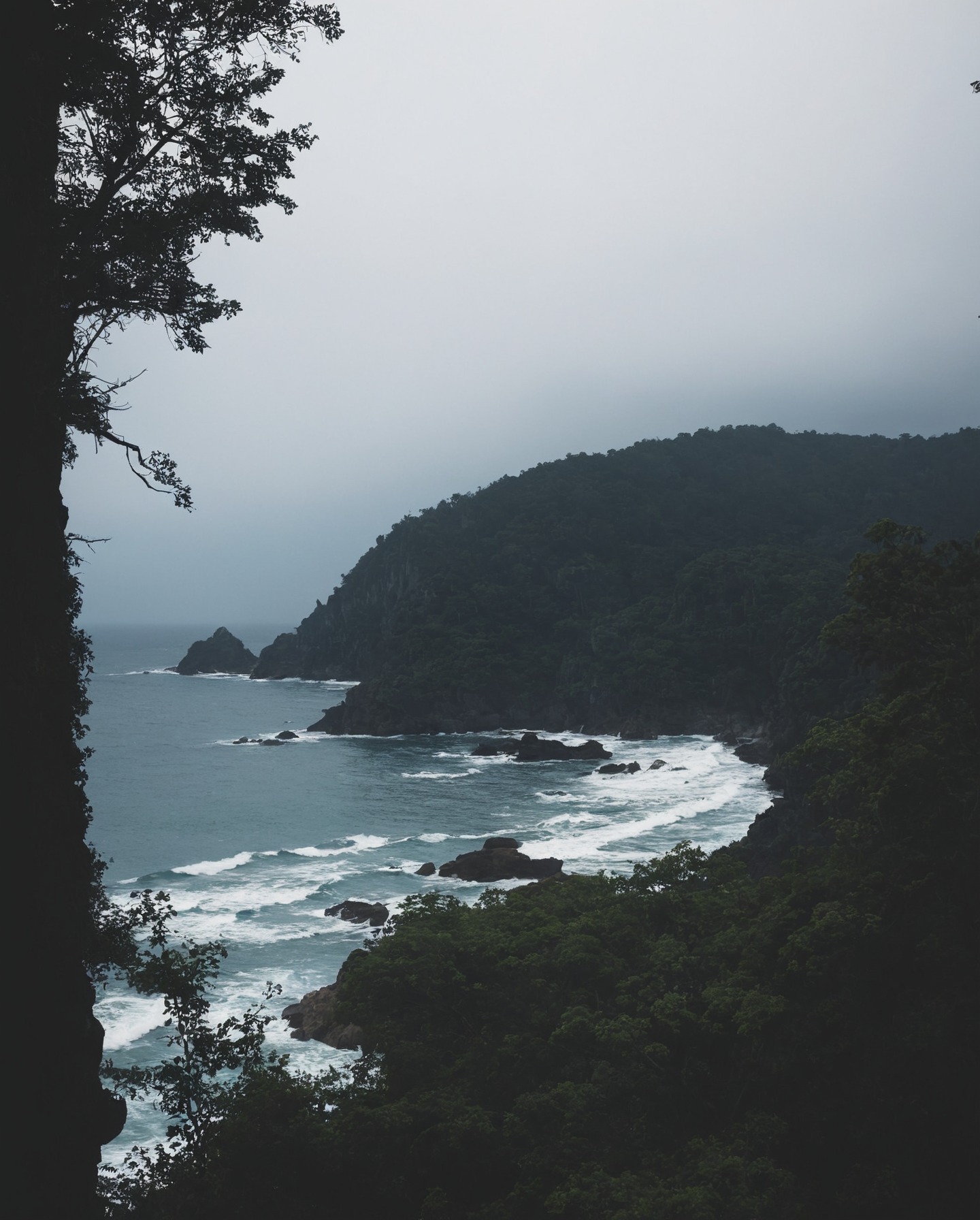 ecola state park, oregon, storm, ocean, moody, pnw, moody nature, rainy day