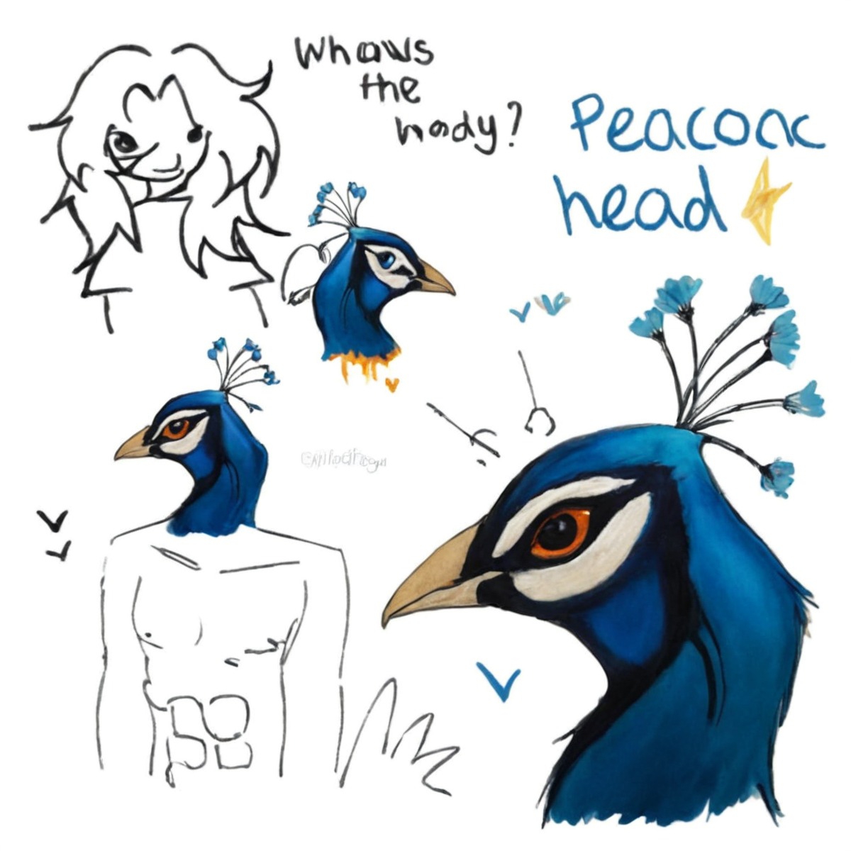 digitalart, originalcharacter, bird, doodle, animal, peacocktutorial