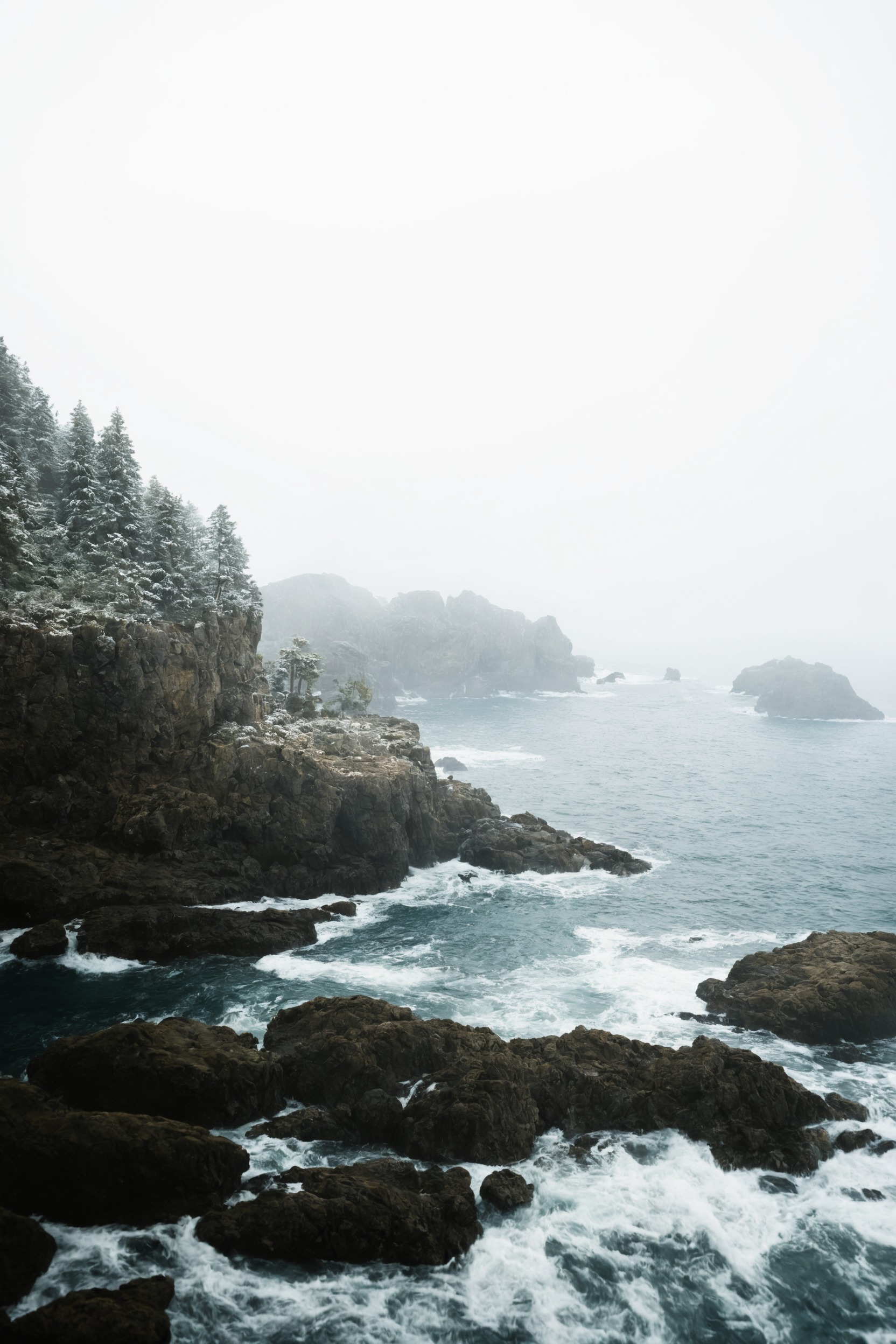 landscape, forest, nature, beauty, artists on tumblr, photography, aesthetic, washington, pnw, westcoastbestcoast, art, pacific northwest, explore, travel, cottagecore, naturecore, grandmacore, p