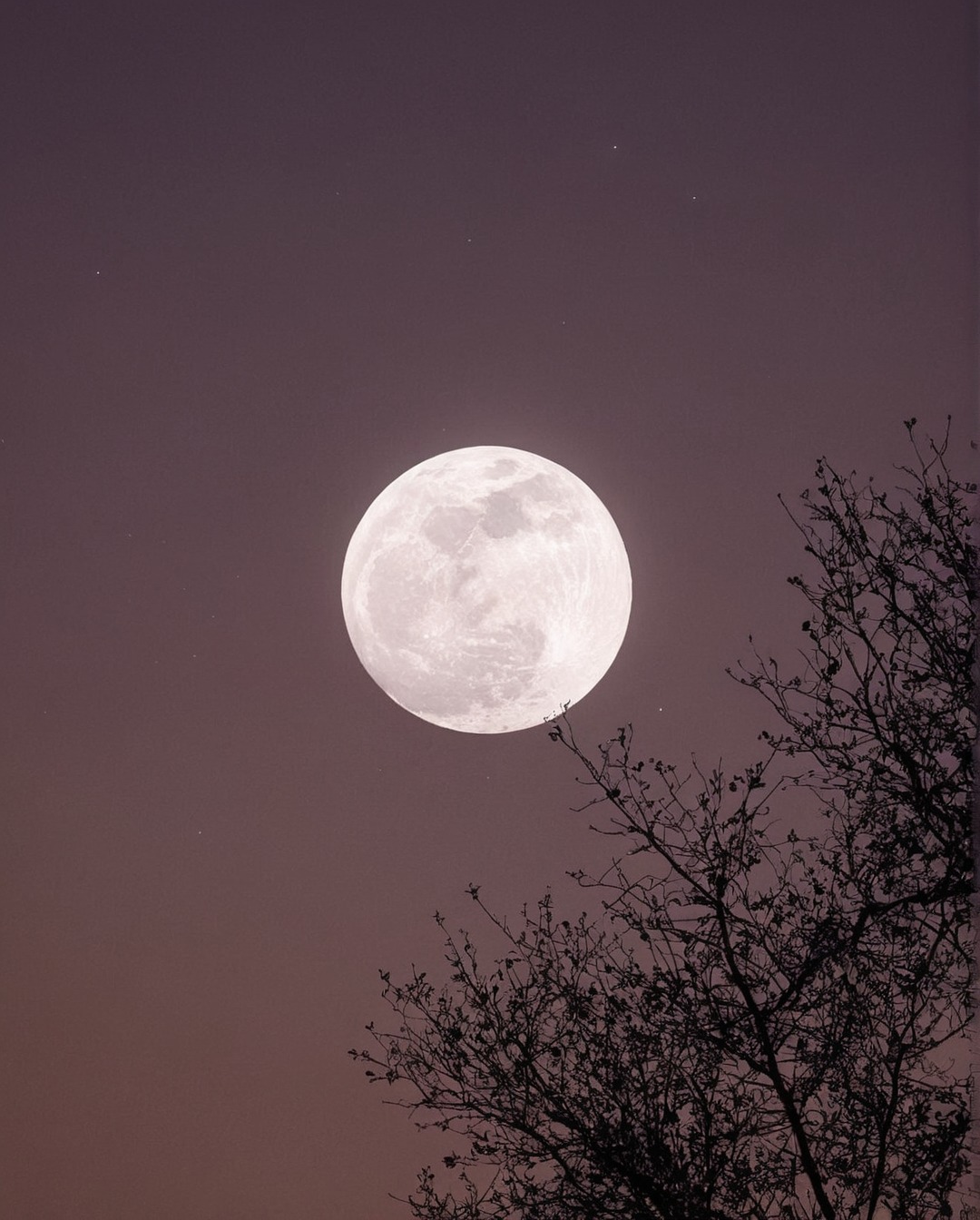 moonlight, full moon, landsccape, moon, sky, clouds, stars, nightsky, lake, sundown, sunrise, landscape, photography, adventure, explore, travel, travelling, nature, paradise, indie, hipster, vintage, retro, aesthetic, pale, sunset, artwork, beauty, dark acadamia aesthetic, fall aesthetic