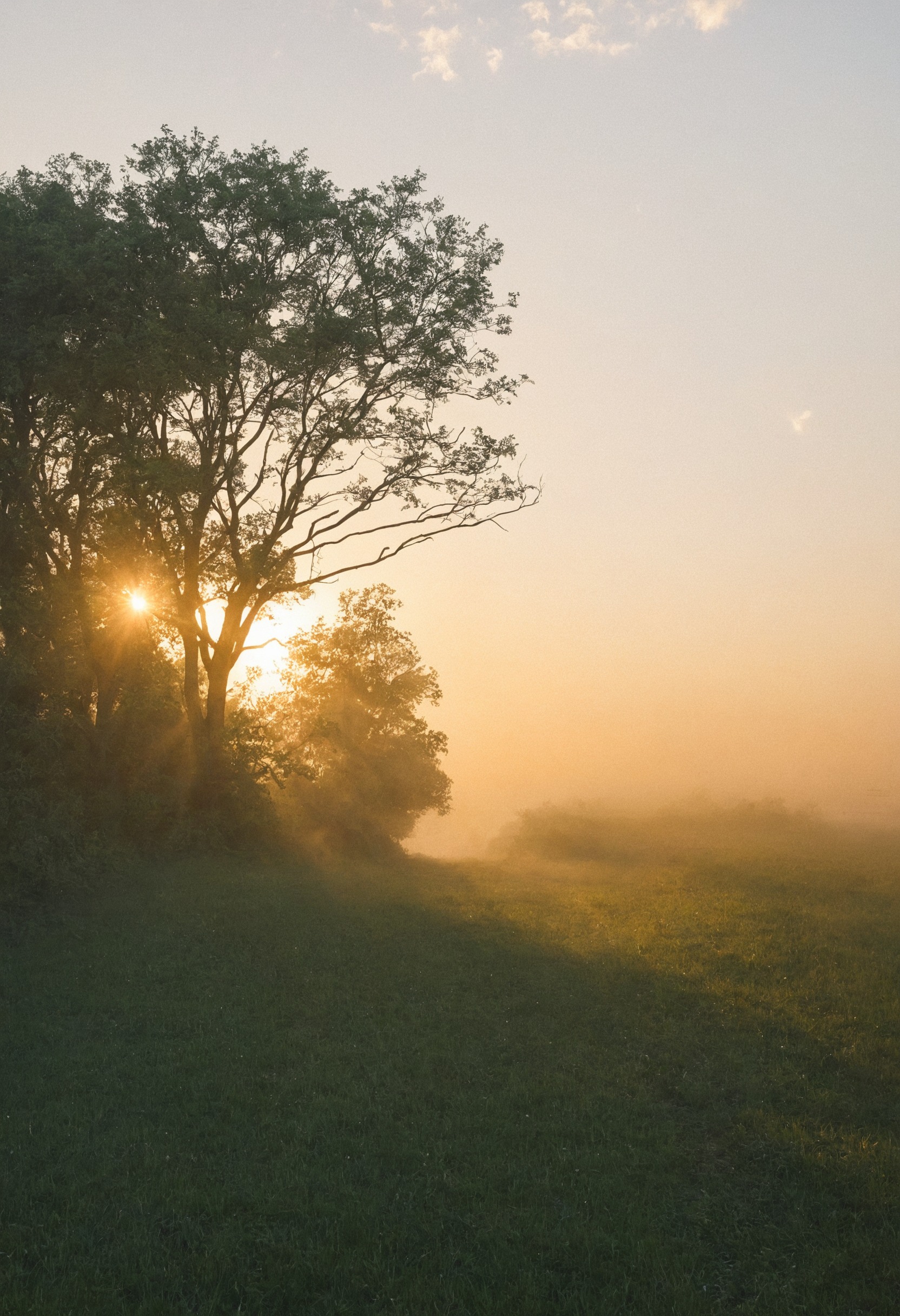 lensblr, lenselust, lensculture, photography, small artist, artists on tumblr, original art, nature, misty landscape, landscape