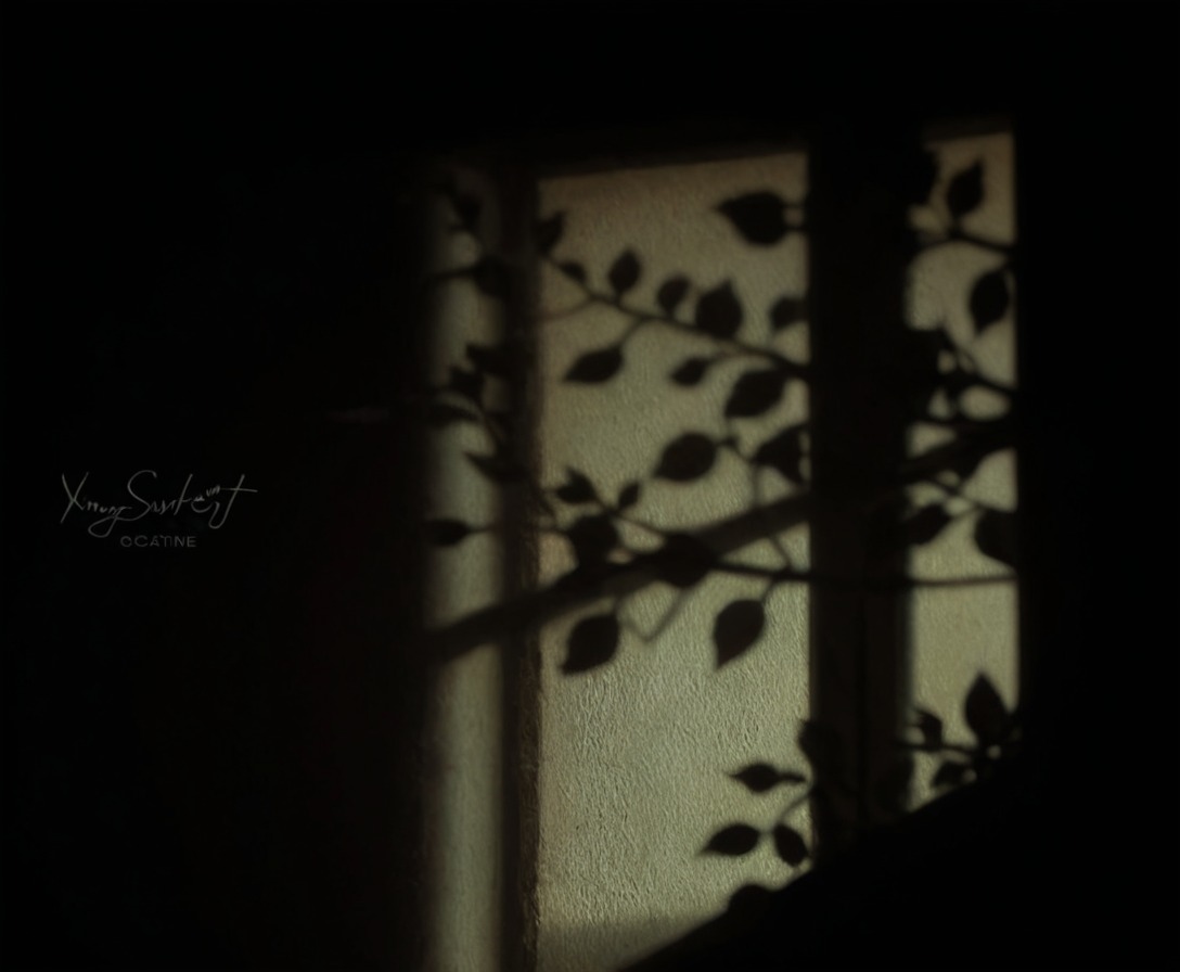 photography, shadows