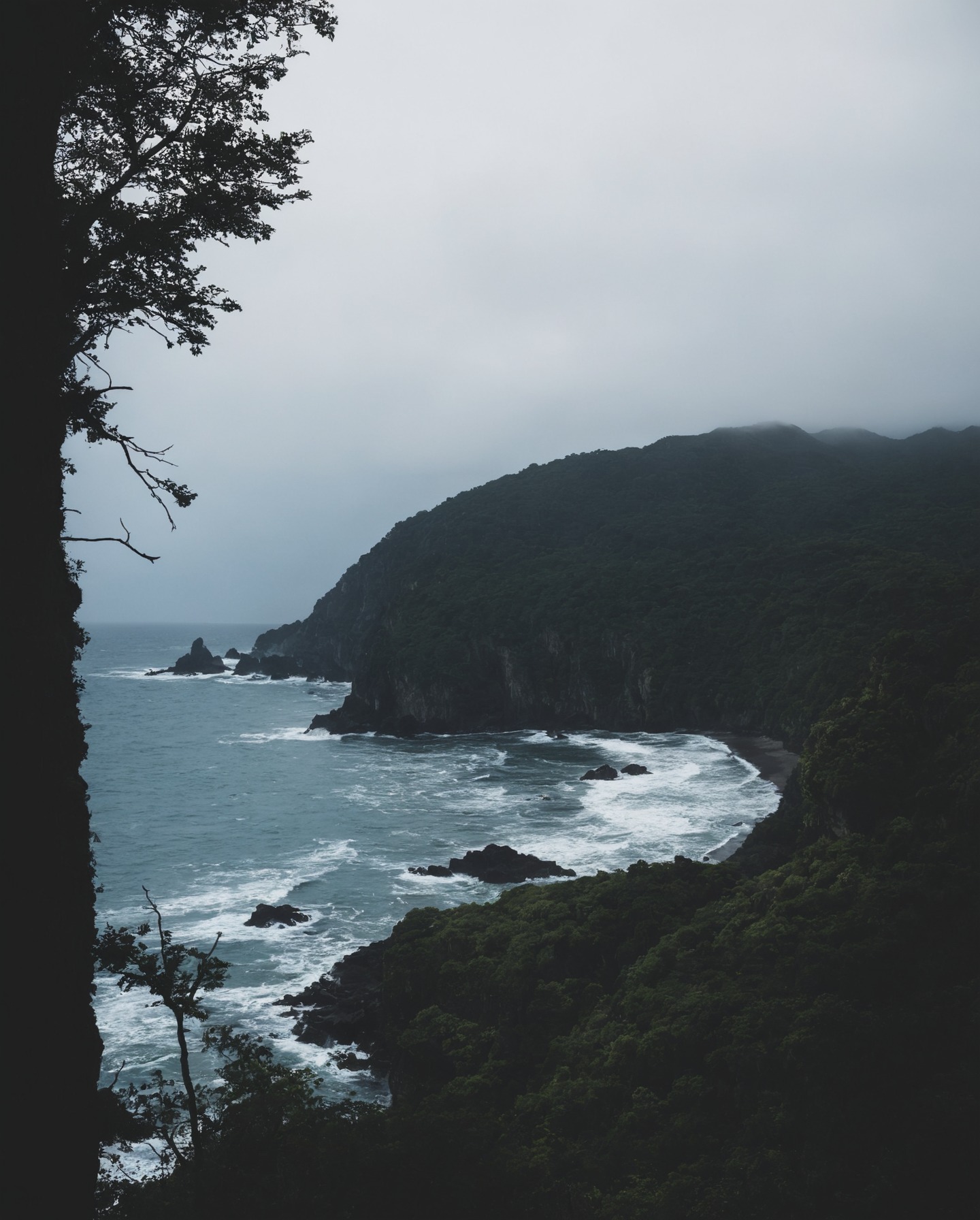 ecola state park, oregon, storm, ocean, moody, pnw, moody nature, rainy day