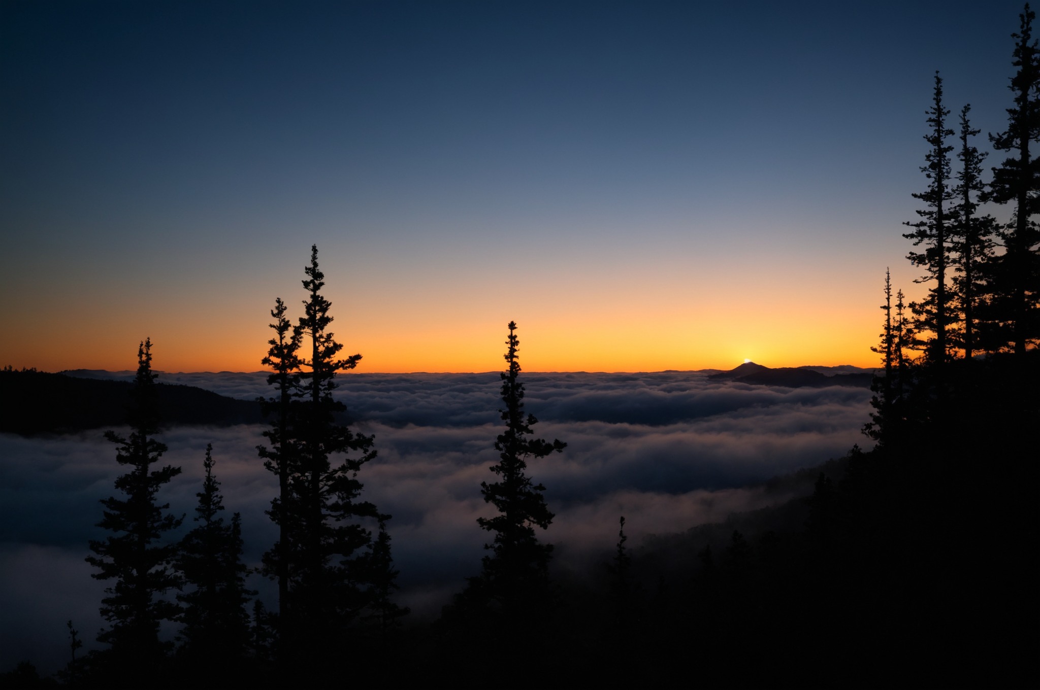 artists on tumblr, hiking, pacific northwest, nature, washington, pnw, nikon, orofeaiel, clouds, sunrise, above, landscape, moody, trees, east