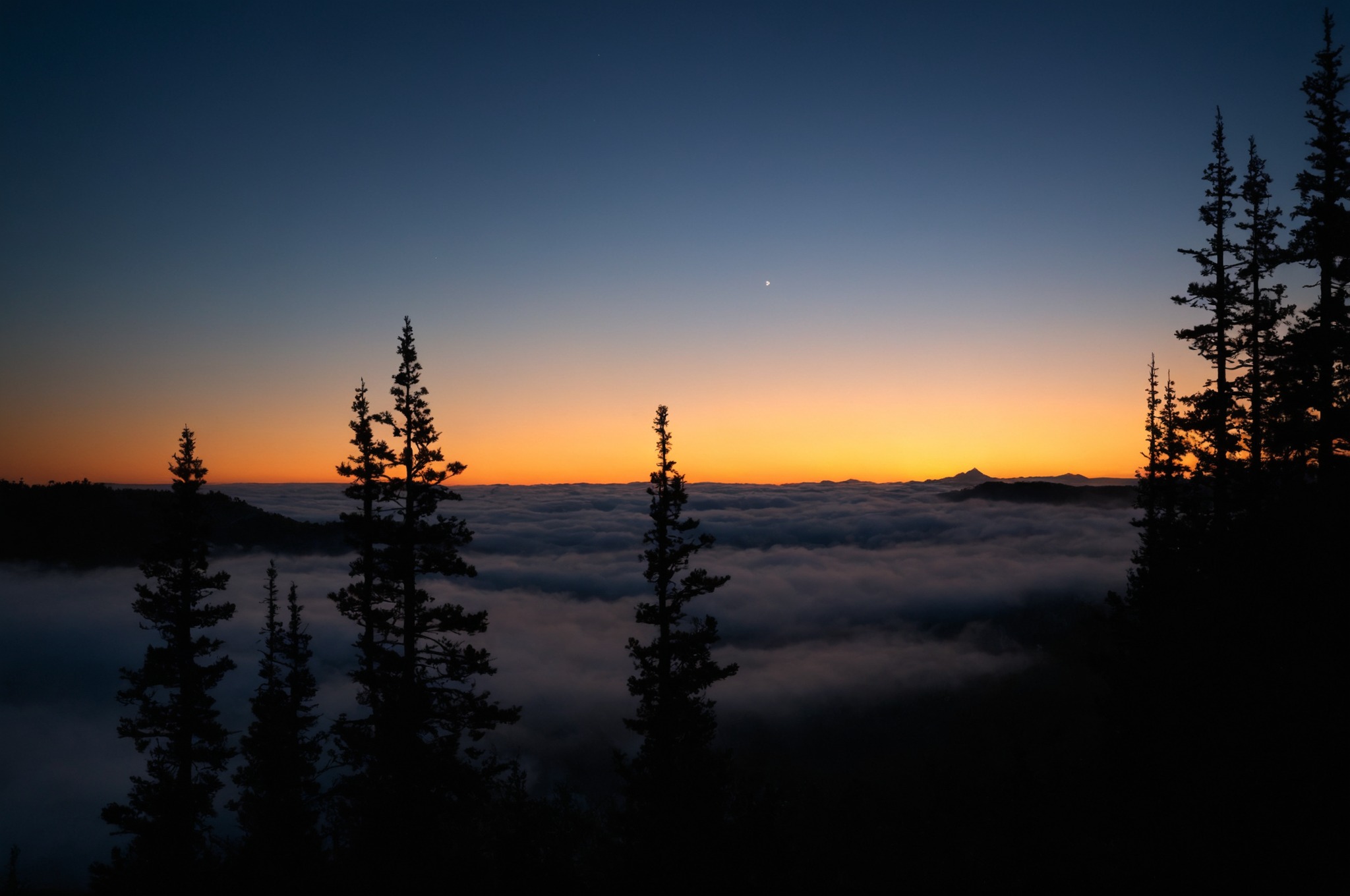 artists on tumblr, hiking, pacific northwest, nature, washington, pnw, nikon, orofeaiel, clouds, sunrise, above, landscape, moody, trees, east