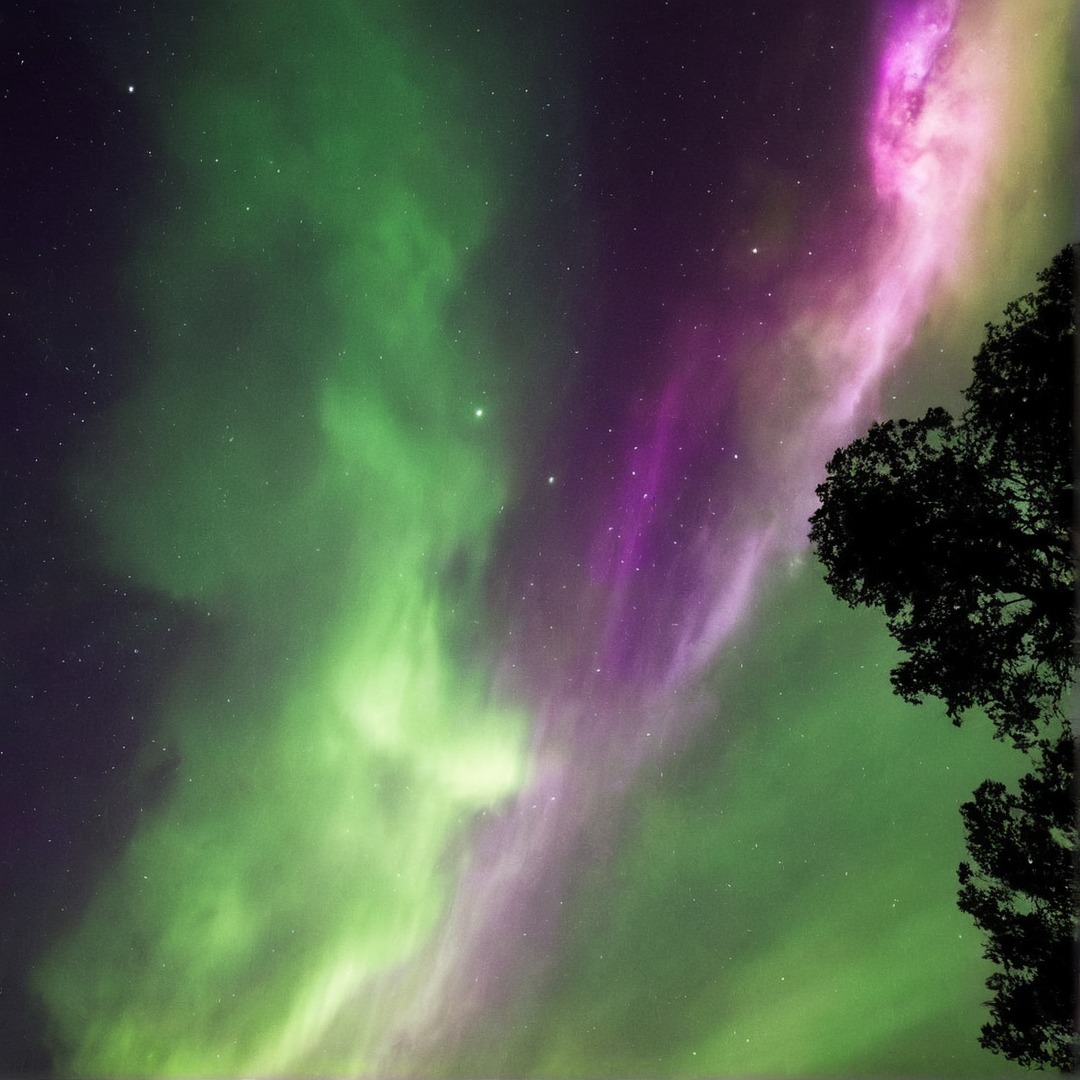 photography, sky, landscape, naturelandscape, night, nightsky, northernlights