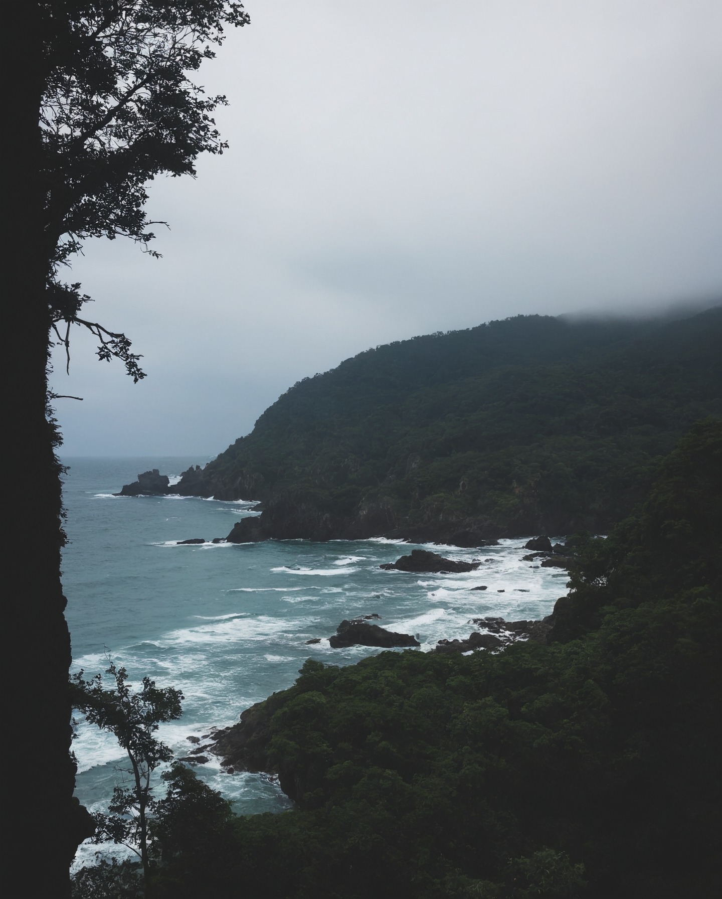 ecola state park, oregon, storm, ocean, moody, pnw, moody nature, rainy day