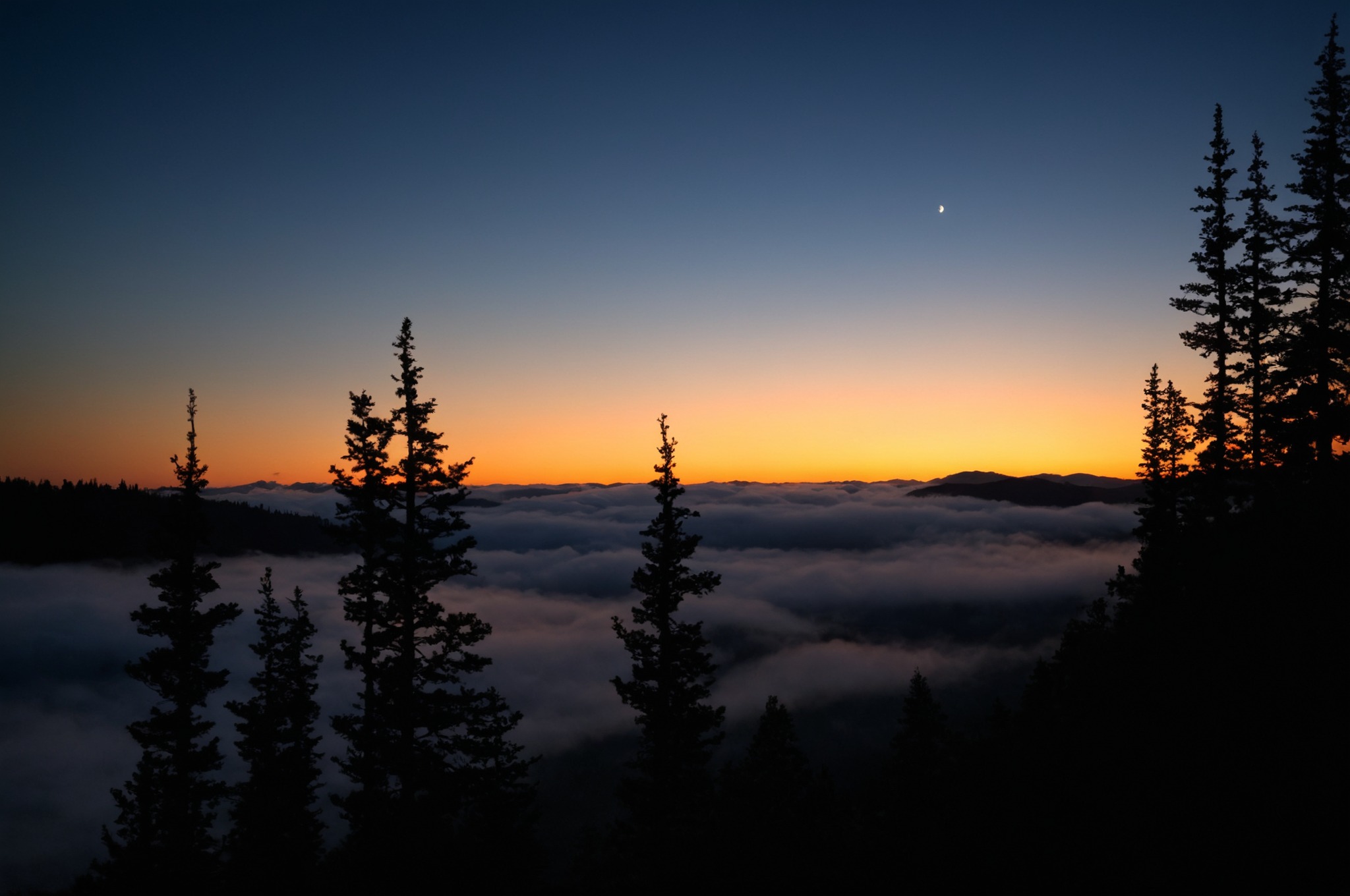 artists on tumblr, hiking, pacific northwest, nature, washington, pnw, nikon, orofeaiel, clouds, sunrise, above, landscape, moody, trees, east