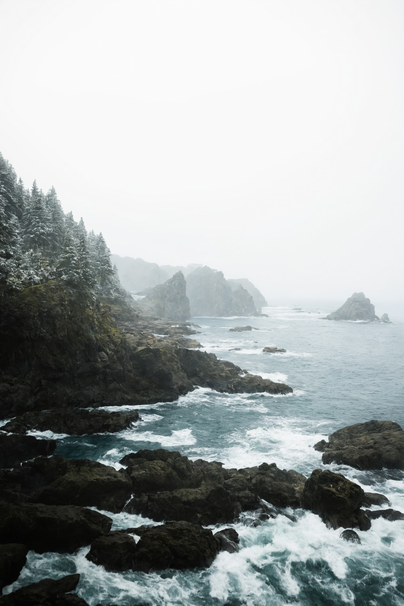 landscape, forest, nature, beauty, artists on tumblr, photography, aesthetic, washington, pnw, westcoastbestcoast, art, pacific northwest, explore, travel, cottagecore, naturecore, grandmacore, p