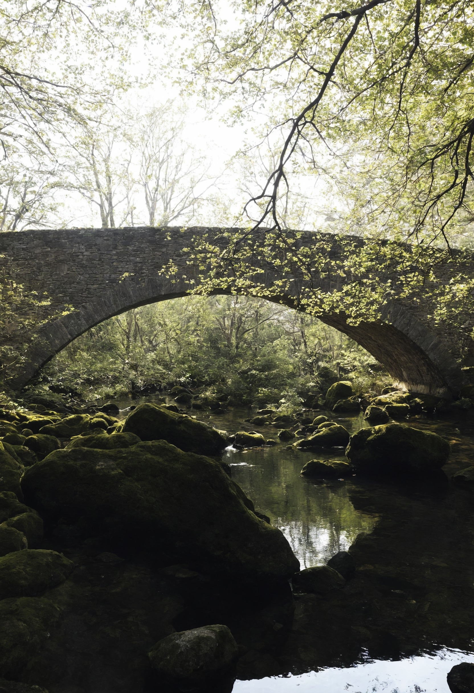 nature, landscape, lensblr, original photographers, photographers on tumblr, canon, scotland, photography, travel, vertical, wilderness