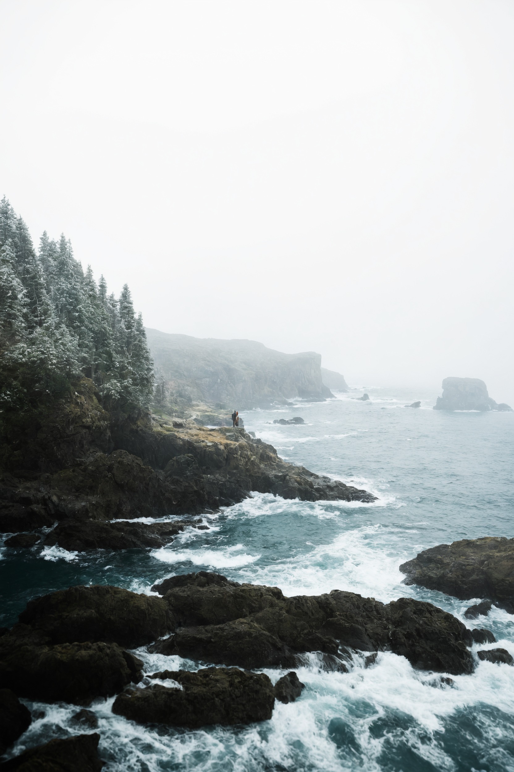 landscape, forest, nature, beauty, artists on tumblr, photography, aesthetic, washington, pnw, westcoastbestcoast, art, pacific northwest, explore, travel, cottagecore, naturecore, grandmacore, p