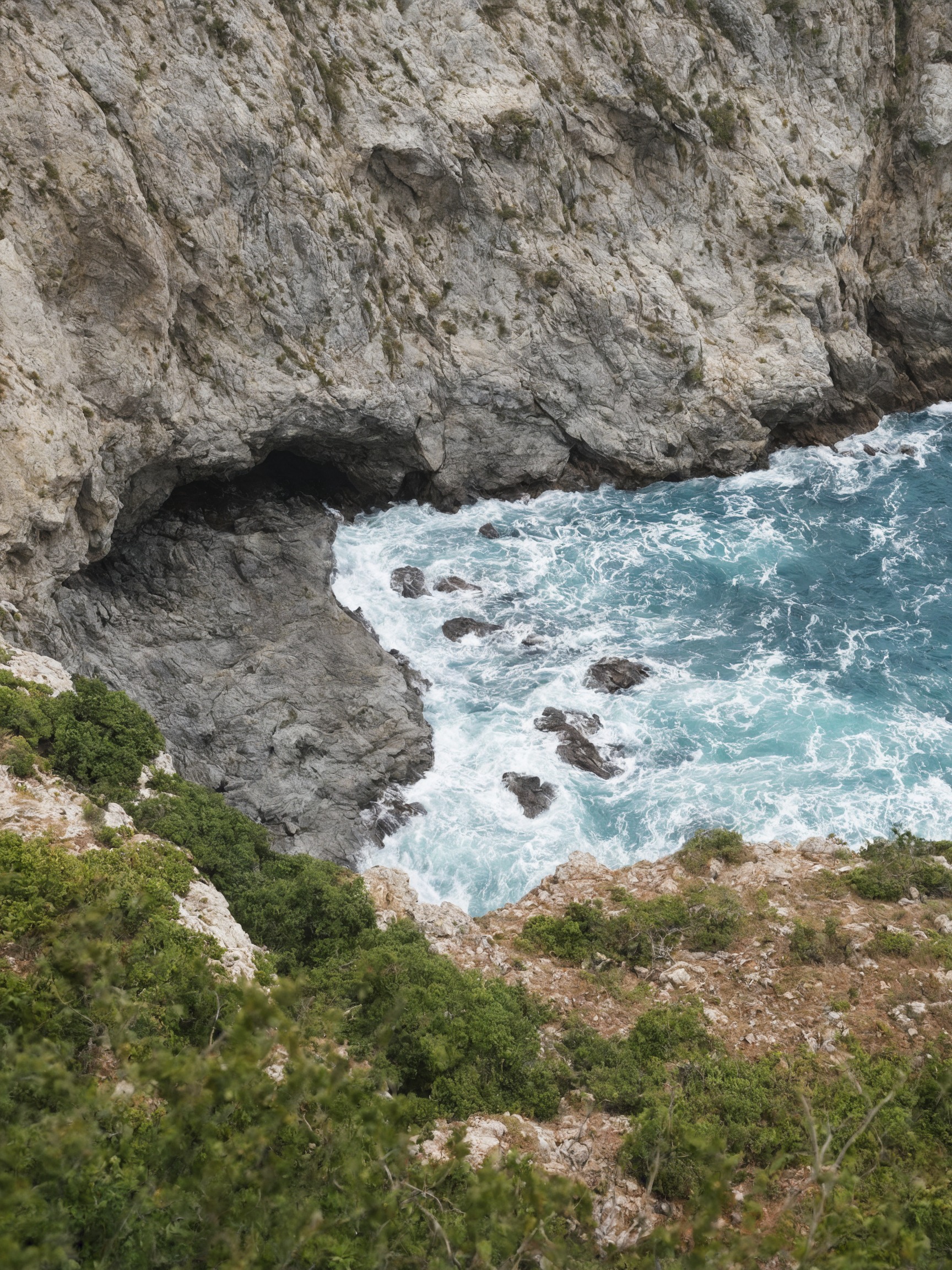 partington cove, partington, big sur, california, shoreline, shore, hiking trail, walking trail, ocean photography, oceanside, ocean view, ocean, waves, cliff side, cliff face, cliffside, trees and forests, forest trees, trees, plants, mobile photography, photography, landscape