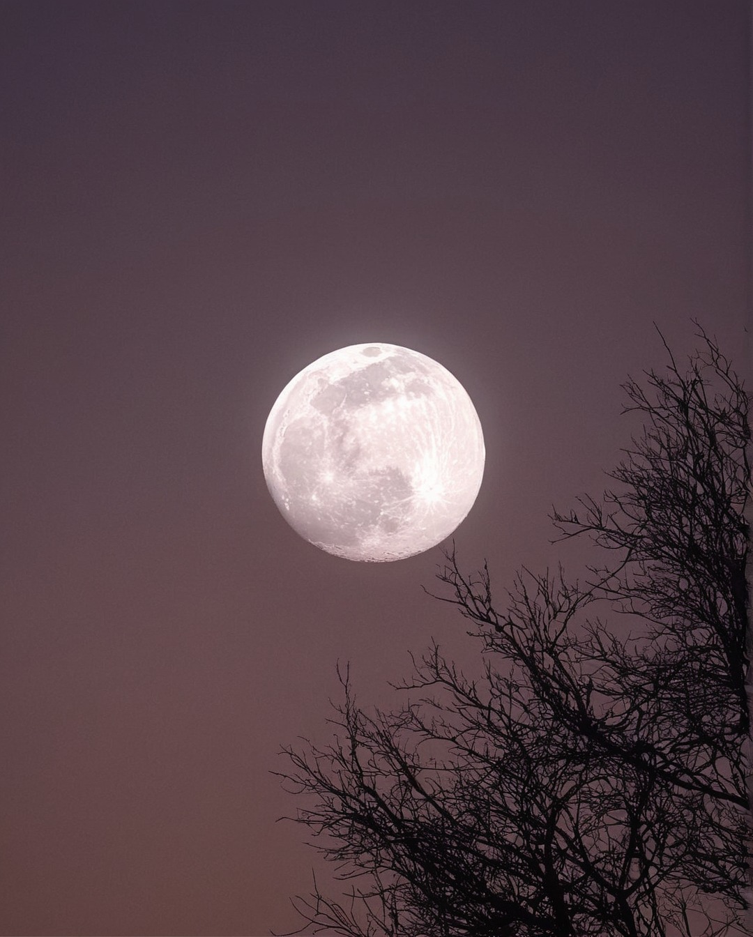 moonlight, full moon, landsccape, moon, sky, clouds, stars, nightsky, lake, sundown, sunrise, landscape, photography, adventure, explore, travel, travelling, nature, paradise, indie, hipster, vintage, retro, aesthetic, pale, sunset, artwork, beauty, dark acadamia aesthetic, fall aesthetic