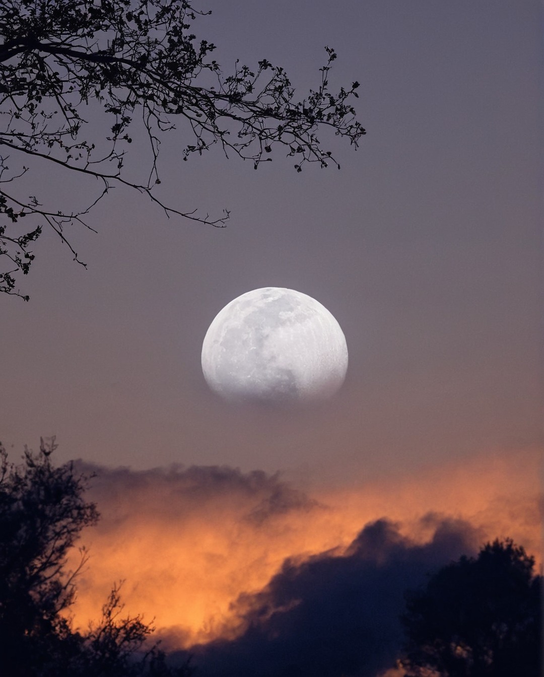 moonlight, full moon, landsccape, moon, sky, clouds, stars, nightsky, lake, sundown, sunrise, landscape, photography, adventure, explore, travel, travelling, nature, paradise, indie, hipster, vintage, retro, aesthetic, pale, sunset, artwork, beauty, dark acadamia aesthetic, fall aesthetic