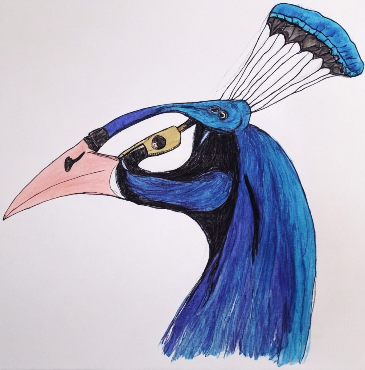 bird, coloured, animal, peacockhead, peacocktutorial