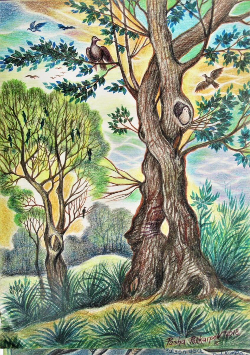 forest, coloredpencil