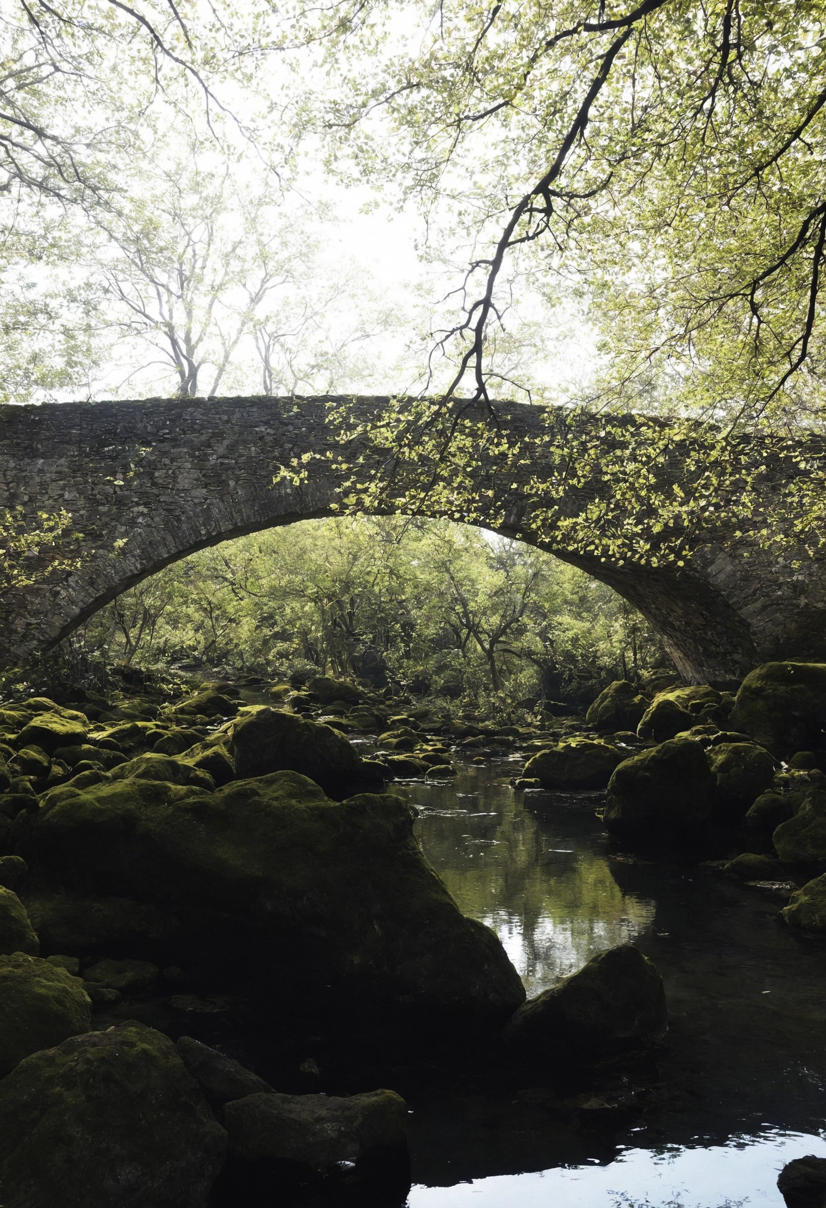 nature, landscape, lensblr, original photographers, photographers on tumblr, canon, scotland, photography, travel, vertical, wilderness