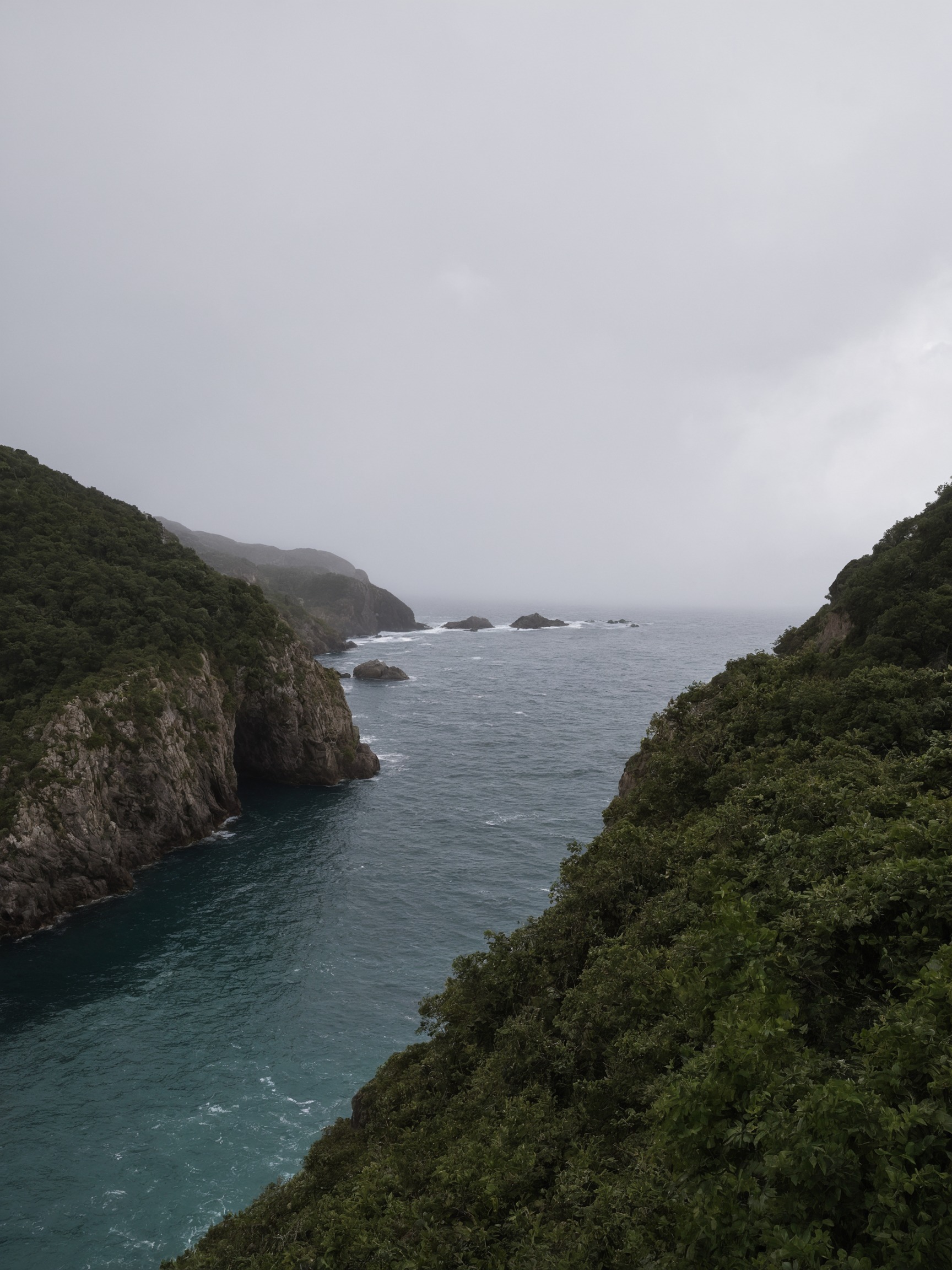 partington cove, partington, big sur, california, shoreline, shore, hiking trail, walking trail, ocean photography, oceanside, ocean view, ocean, waves, cliff side, cliff face, cliffside, trees and forests, forest trees, trees, plants, mobile photography, photography, landscape