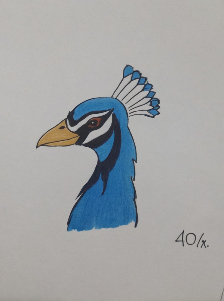 bird, coloredpencil, traditionalart, animal, pencildrawing, peacocktutorial