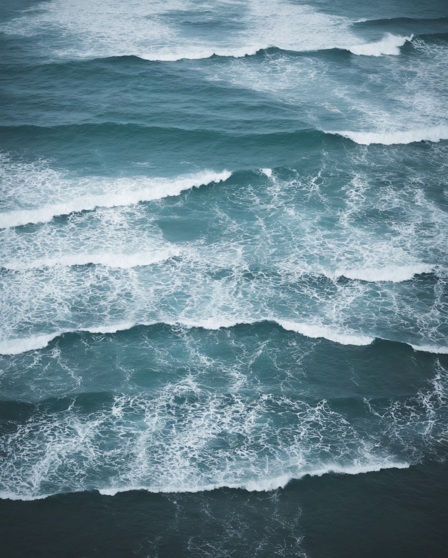 ecola state park, oregon, storm, ocean, moody, pnw, moody nature, rainy day