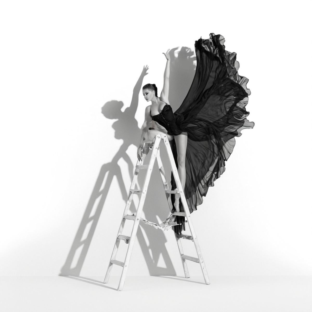 ballet, blackandwhite, dancer, dress, ladder