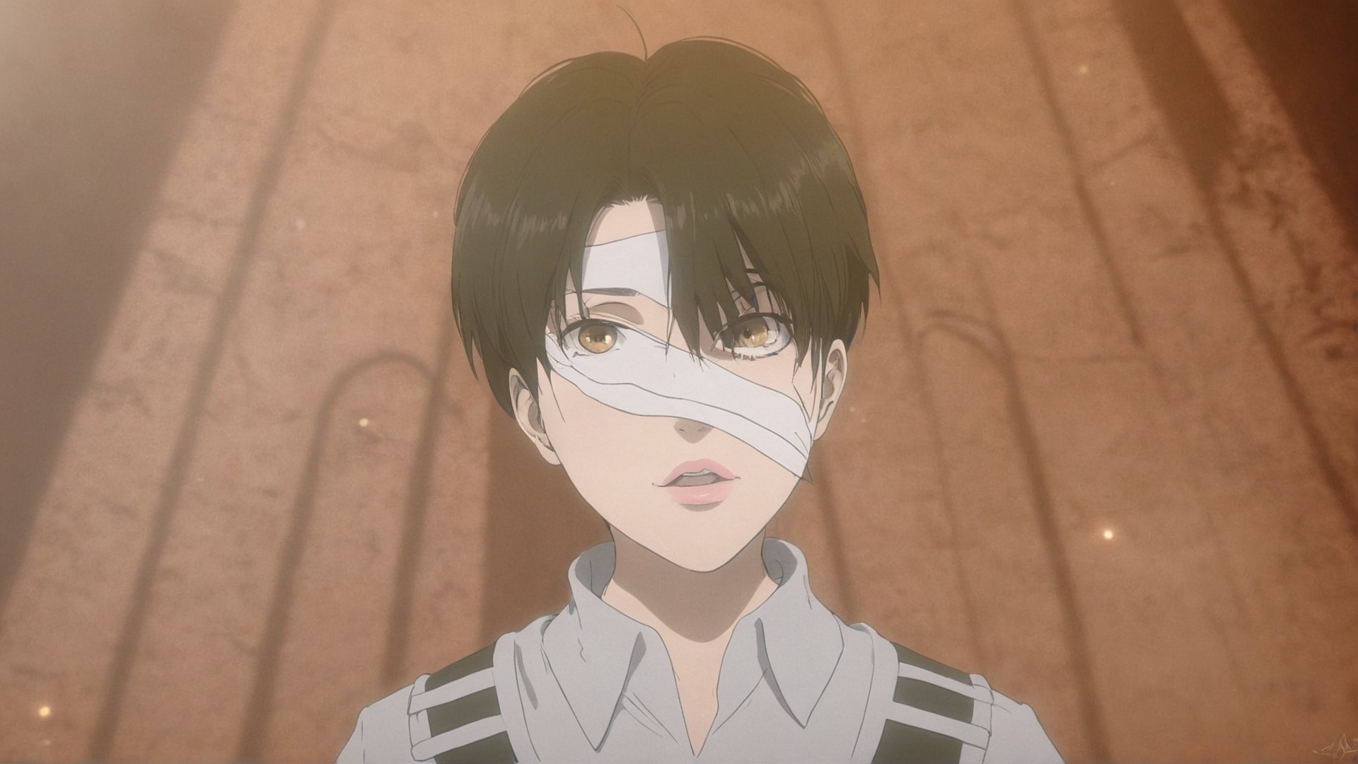 levi ackerman, attack on titan, aot