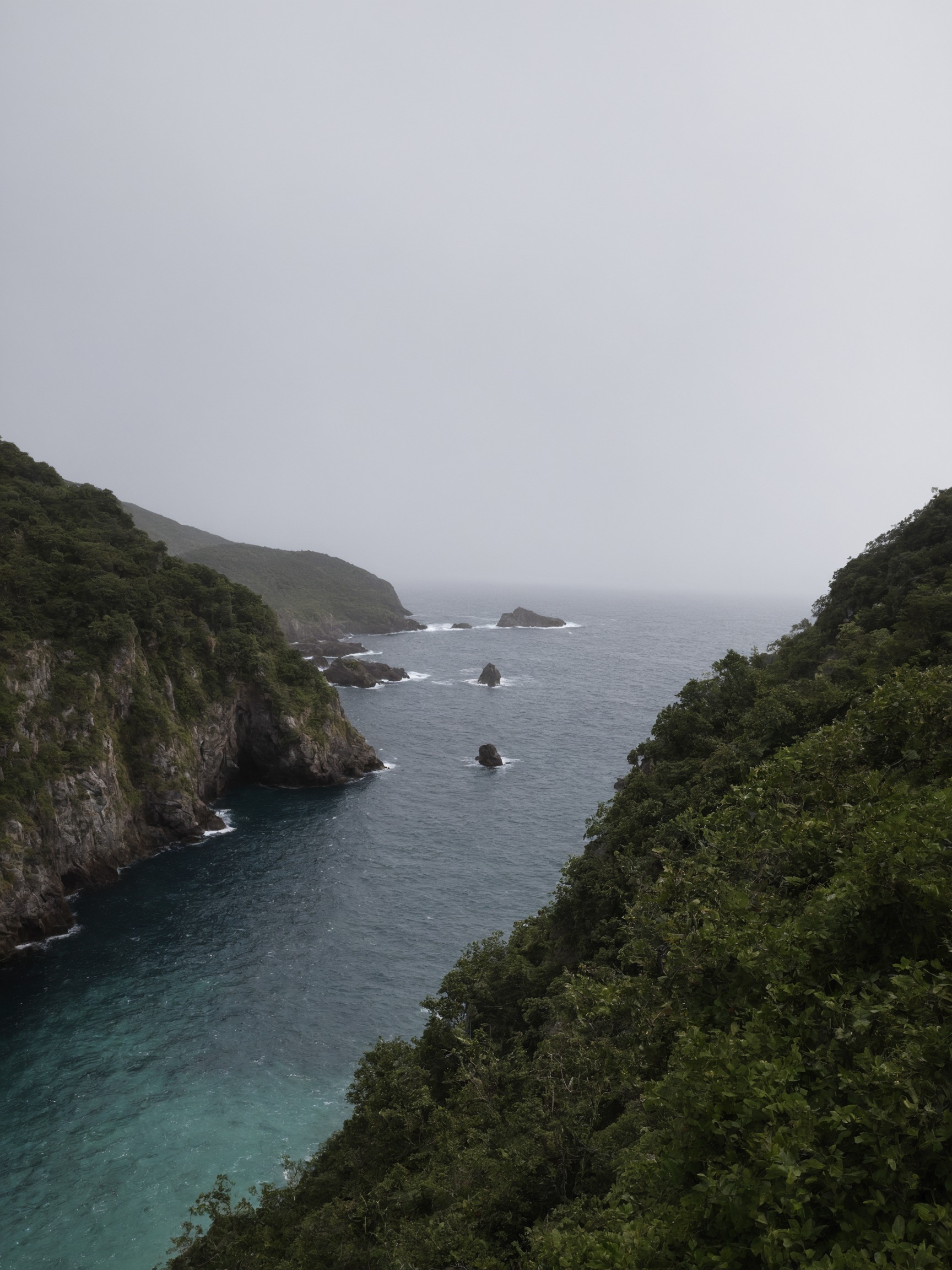 partington cove, partington, big sur, california, shoreline, shore, hiking trail, walking trail, ocean photography, oceanside, ocean view, ocean, waves, cliff side, cliff face, cliffside, trees and forests, forest trees, trees, plants, mobile photography, photography, landscape