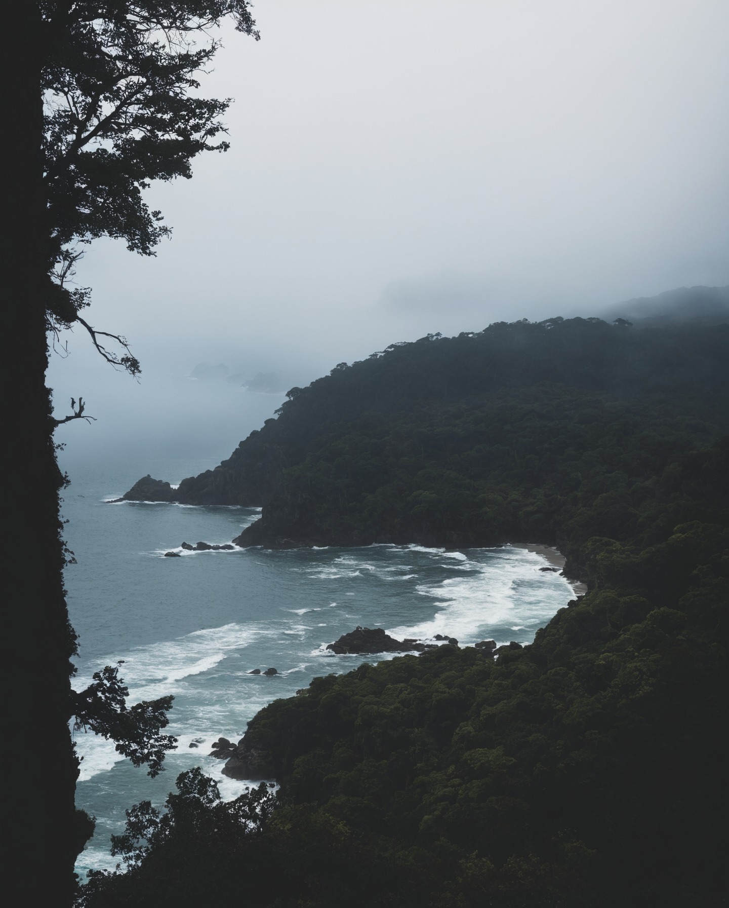 ecola state park, oregon, storm, ocean, moody, pnw, moody nature, rainy day