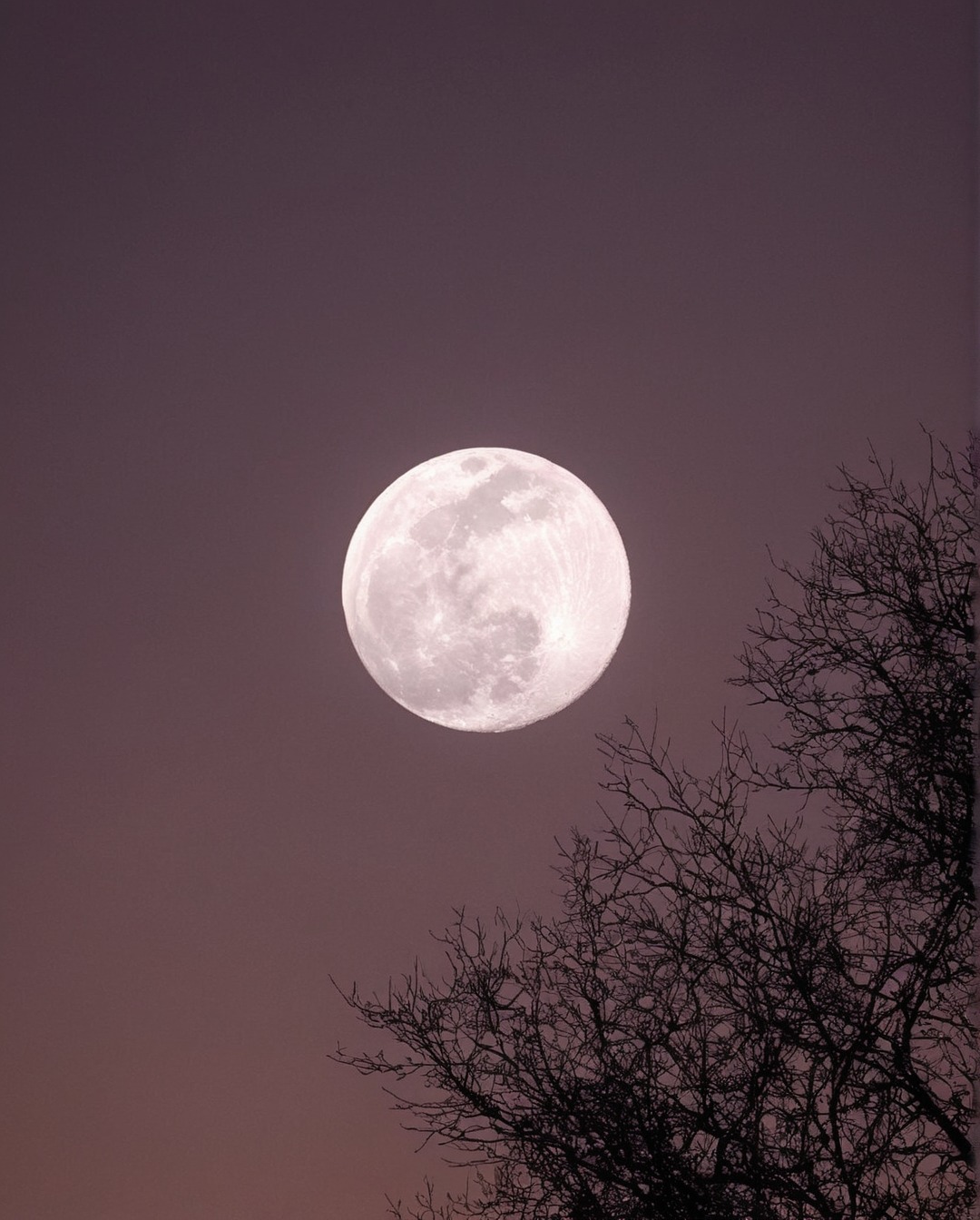 moonlight, full moon, landsccape, moon, sky, clouds, stars, nightsky, lake, sundown, sunrise, landscape, photography, adventure, explore, travel, travelling, nature, paradise, indie, hipster, vintage, retro, aesthetic, pale, sunset, artwork, beauty, dark acadamia aesthetic, fall aesthetic