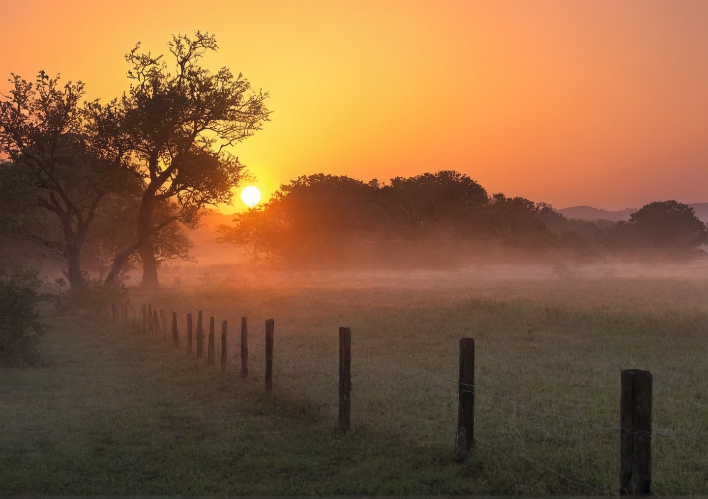 germany, farm, sunrise, horses, sheep, golden light, nature, sunrays