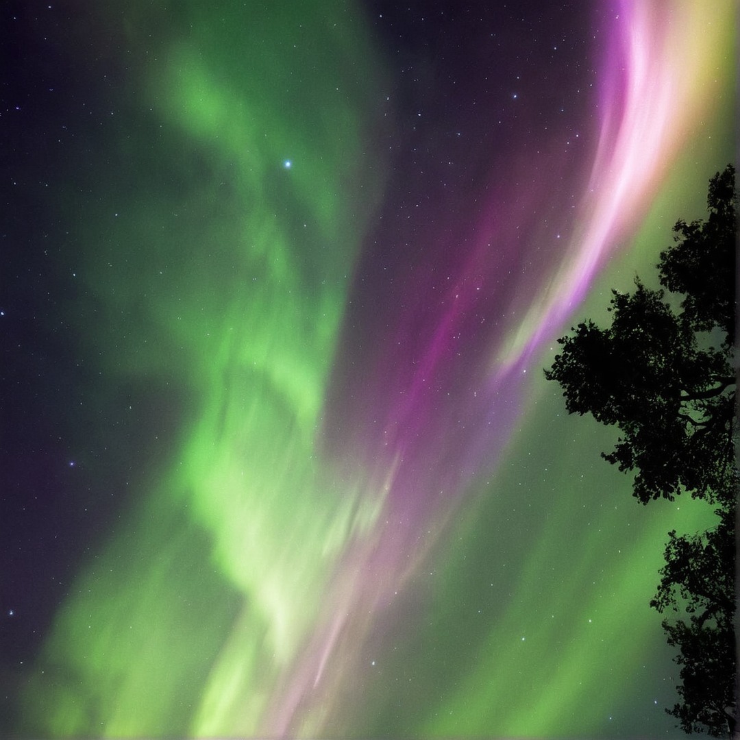 photography, sky, landscape, naturelandscape, night, nightsky, northernlights