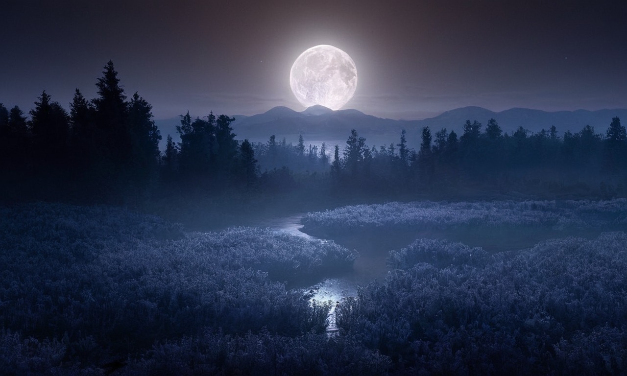 blue, mist, night, jakuszyce, forest, landscapescenery, michal, mierzejewski, moon, moonlight, mountains, nature, photography, river, werol, woods, izery