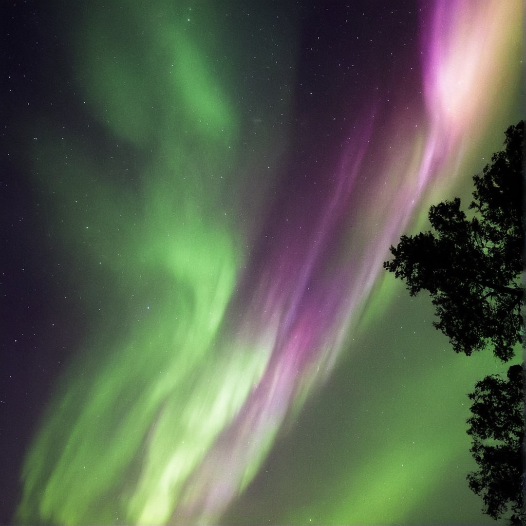 photography, sky, landscape, naturelandscape, night, nightsky, northernlights