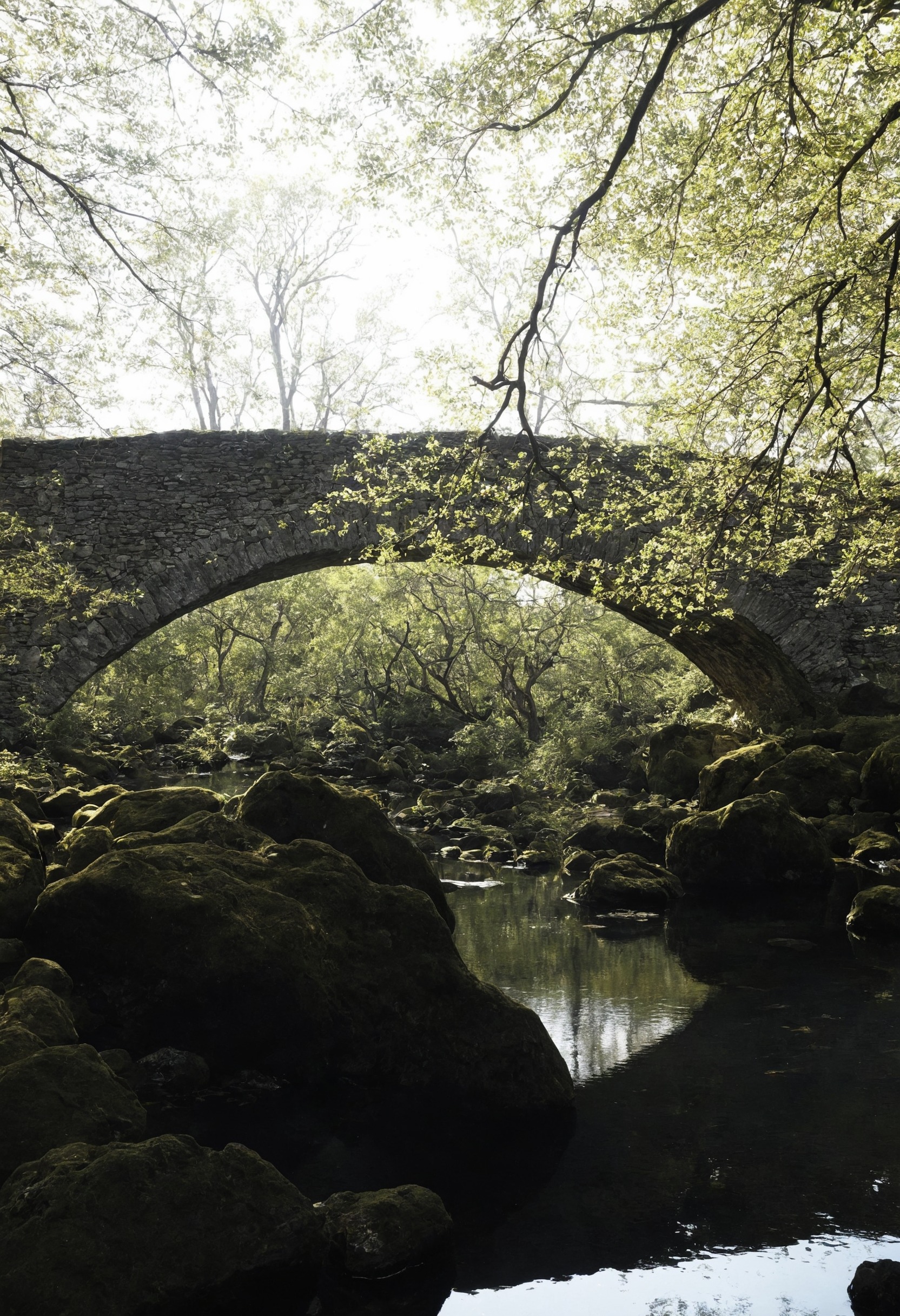 nature, landscape, lensblr, original photographers, photographers on tumblr, canon, scotland, photography, travel, vertical, wilderness