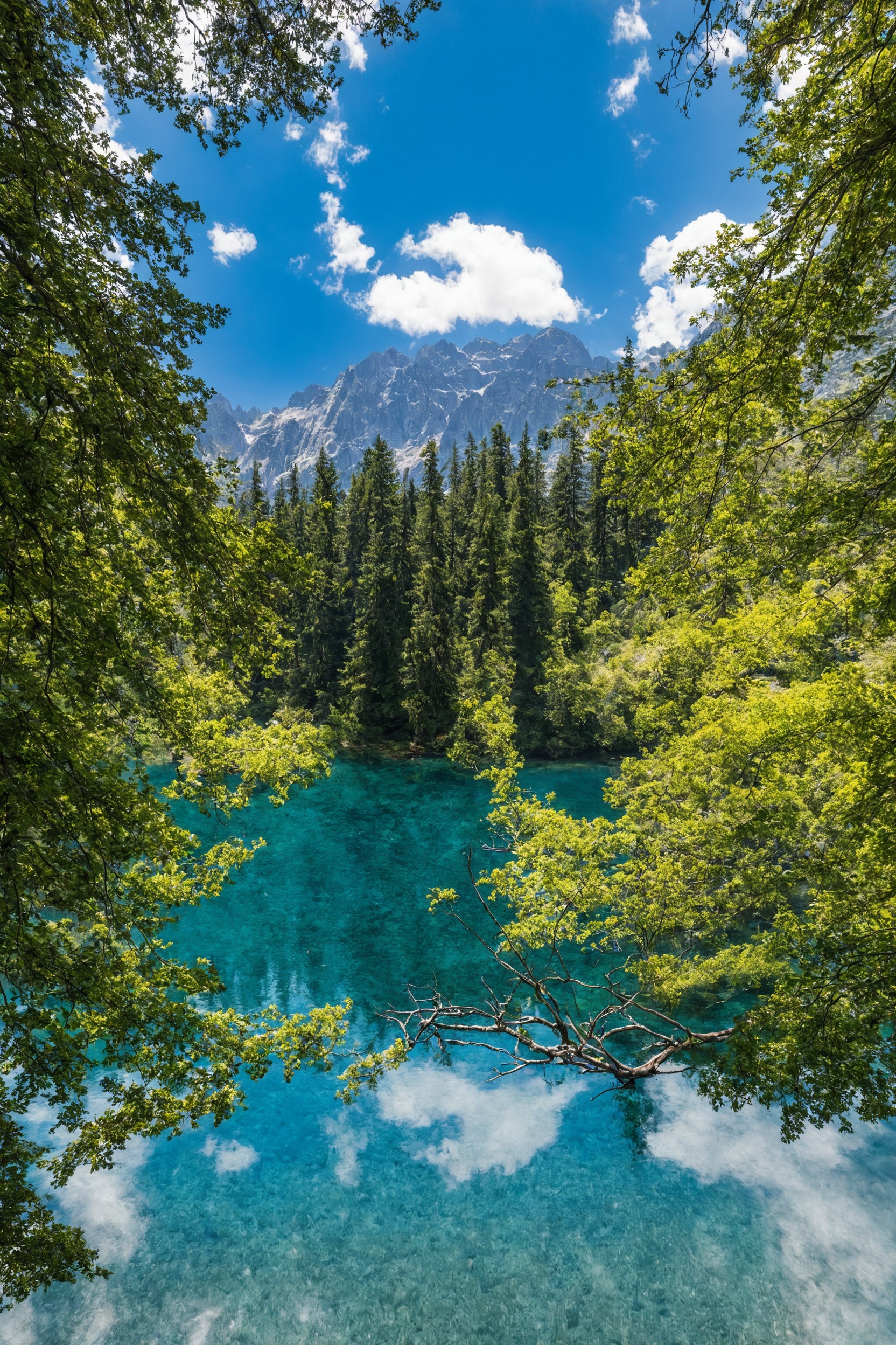 photographers on tumblr, photography, my photography, original photography, original photographers, lake, mountains, trees, forest, amateur photography, dolomites, window view, amazing views, mountain lake