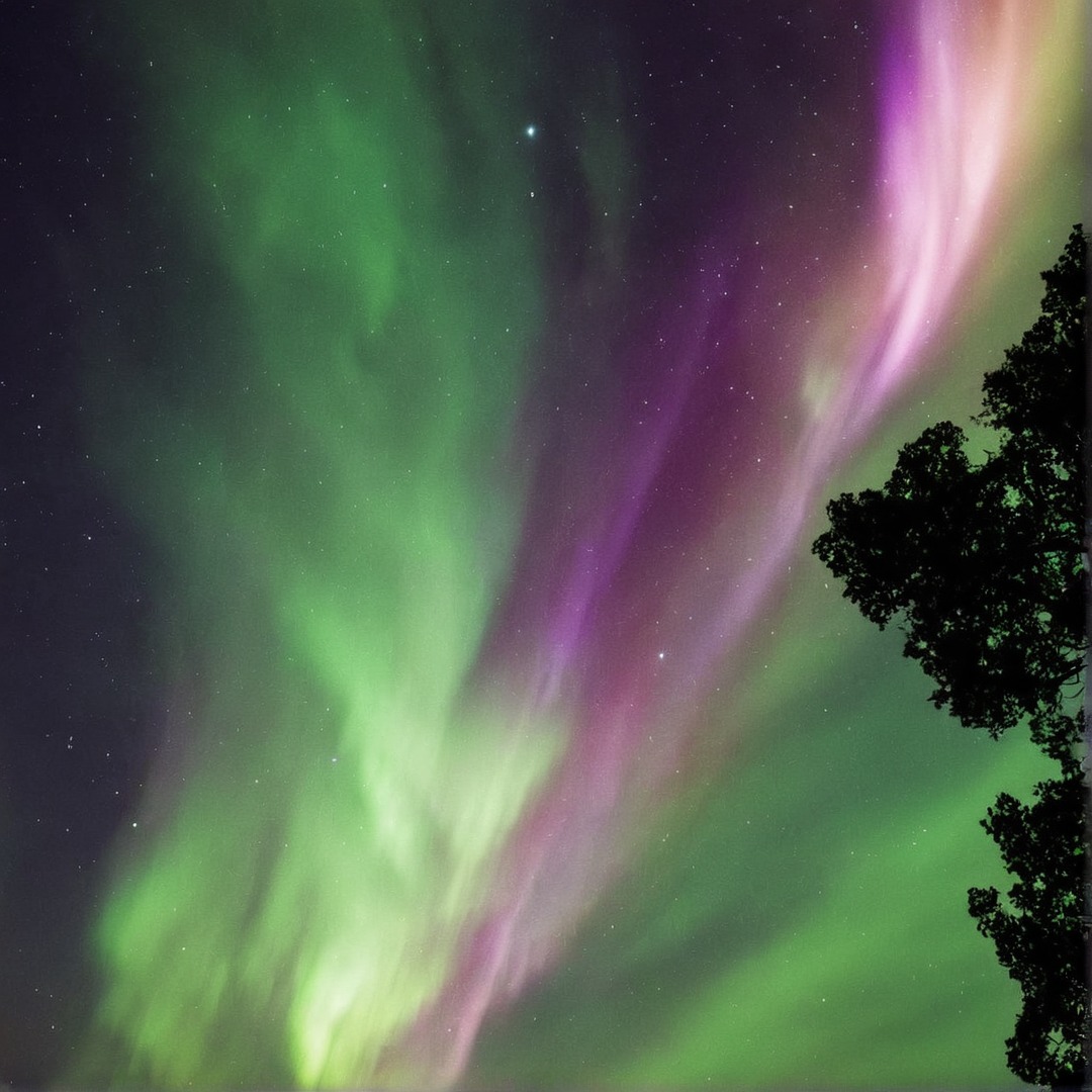 photography, sky, landscape, naturelandscape, night, nightsky, northernlights