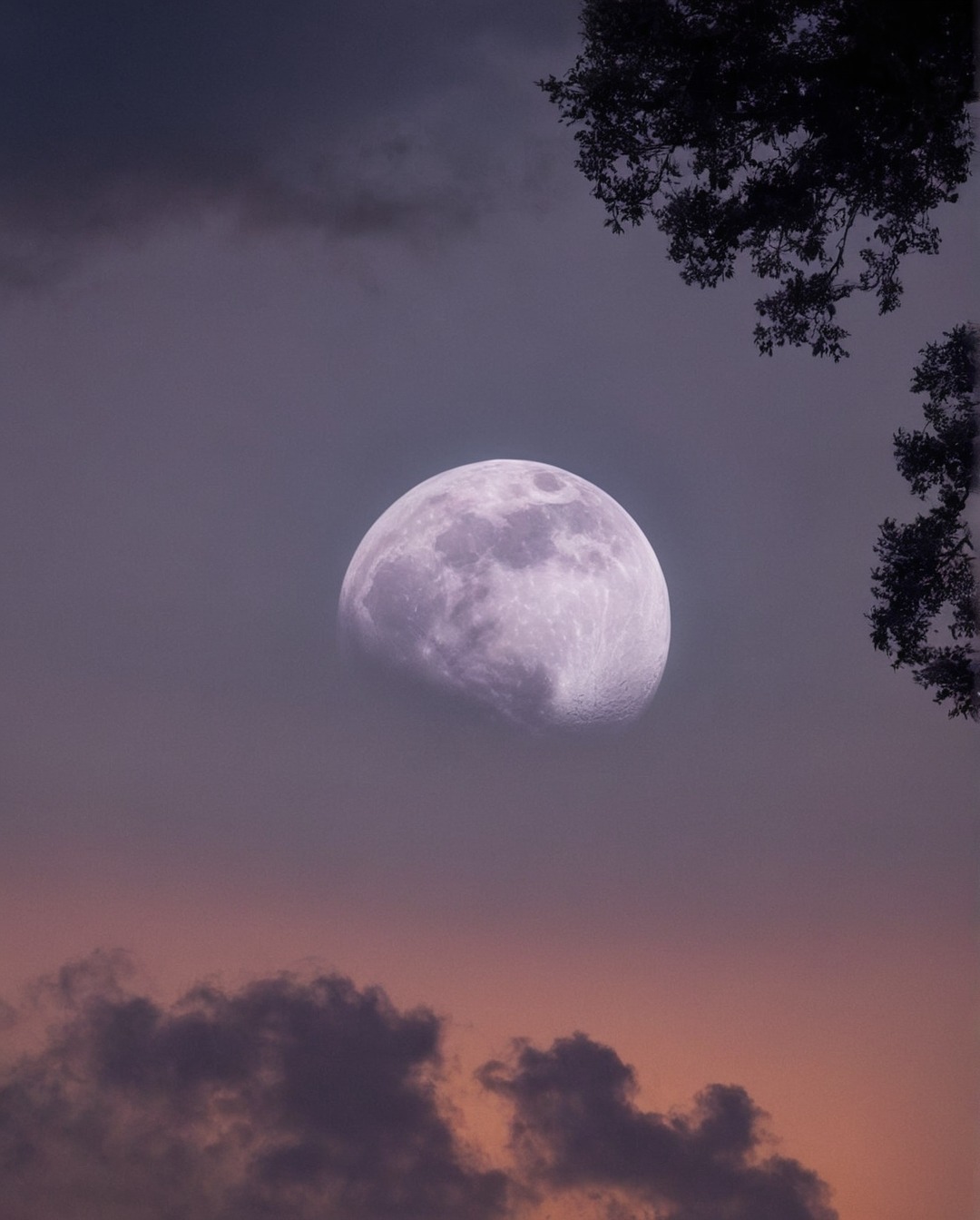 moonlight, full moon, landsccape, moon, sky, clouds, stars, nightsky, lake, sundown, sunrise, landscape, photography, adventure, explore, travel, travelling, nature, paradise, indie, hipster, vintage, retro, aesthetic, pale, sunset, artwork, beauty, dark acadamia aesthetic, fall aesthetic