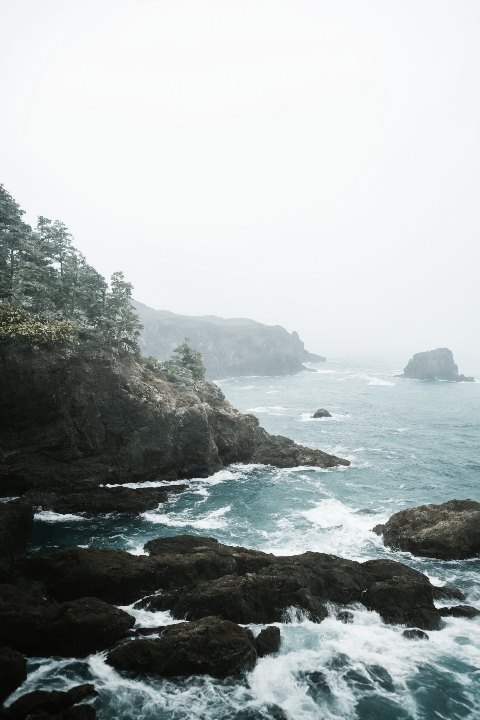 landscape, forest, nature, beauty, artists on tumblr, photography, aesthetic, washington, pnw, westcoastbestcoast, art, pacific northwest, explore, travel, cottagecore, naturecore, grandmacore, p