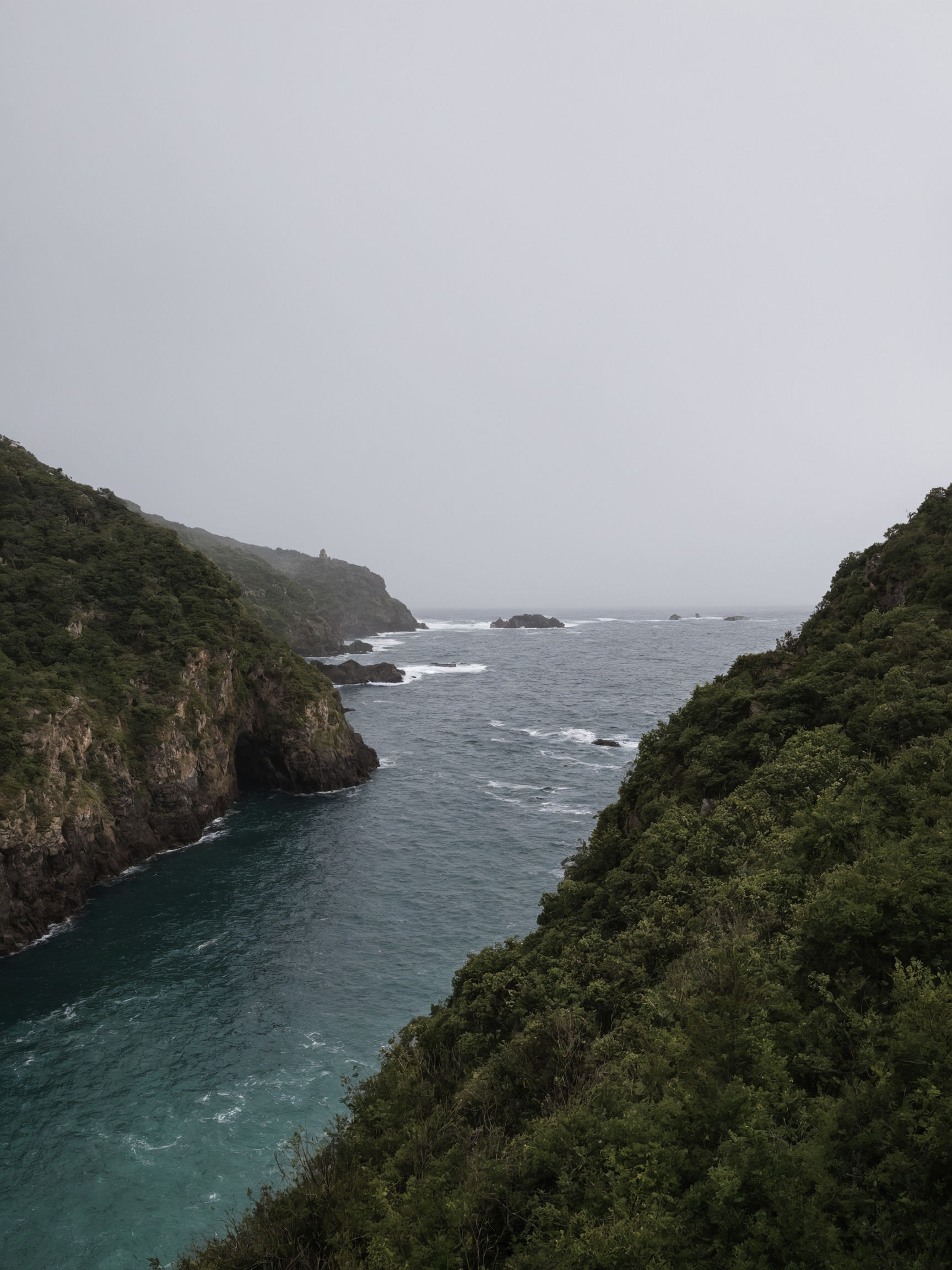 partington cove, partington, big sur, california, shoreline, shore, hiking trail, walking trail, ocean photography, oceanside, ocean view, ocean, waves, cliff side, cliff face, cliffside, trees and forests, forest trees, trees, plants, mobile photography, photography, landscape